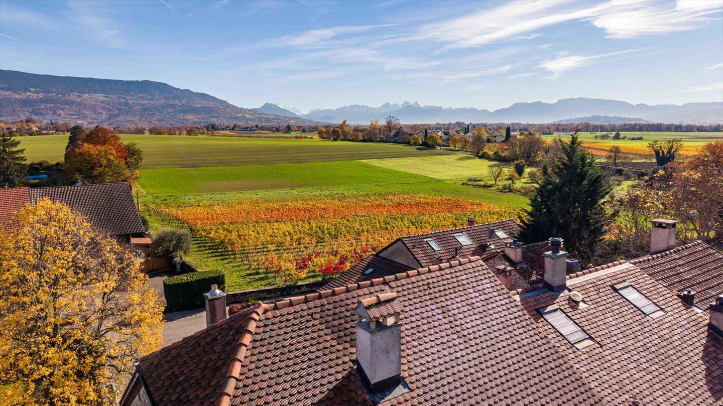 Prächtiges Triplex in einer grünen Oase - Foto 12 von 12