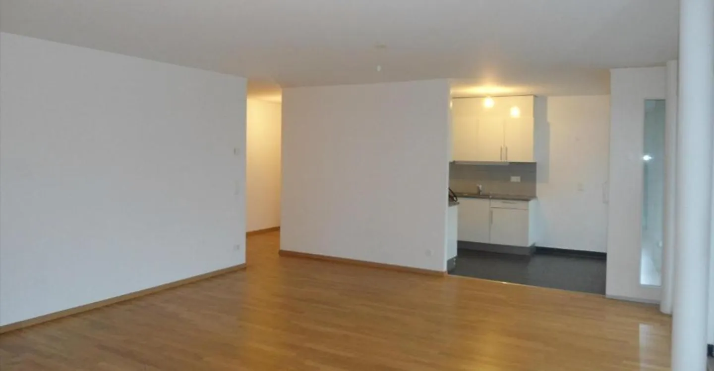 Superb 5-room sunny and quiet apartment - Photo 3 of 9