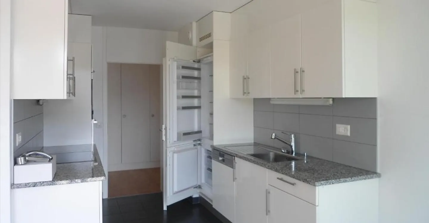 Superb 5-room sunny and quiet apartment - Photo 4 of 9