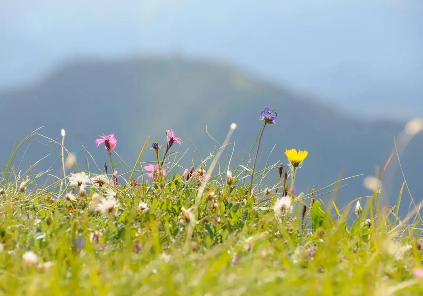 Bien immobilier à vendre - Photo 1 sur 3