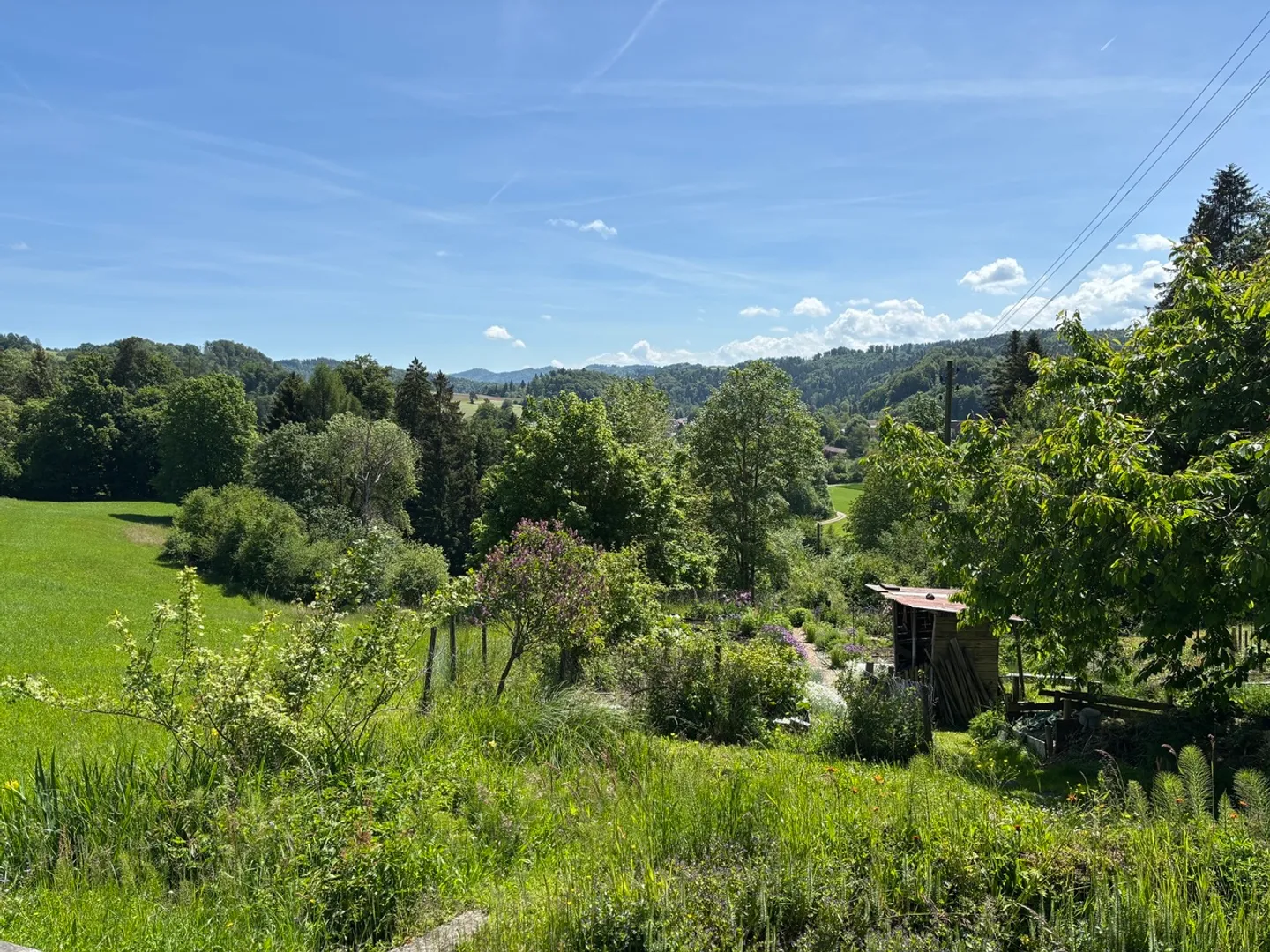 Paradiso Naturale Schwendi - Foto 6 di 17