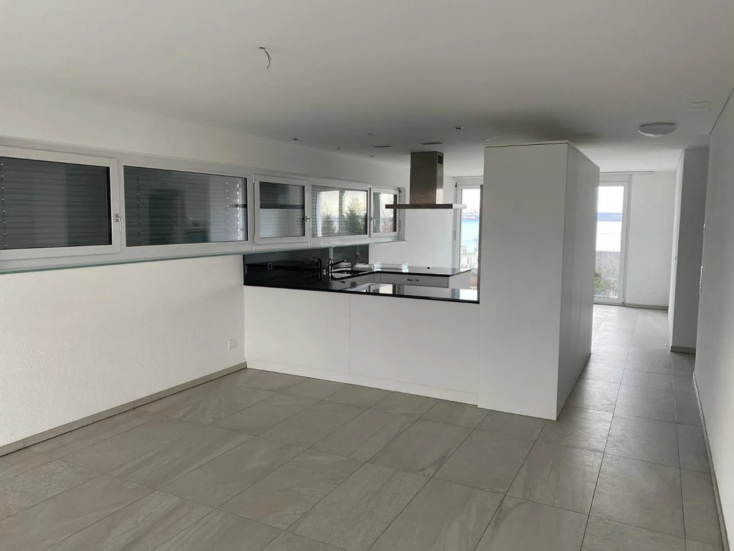 Appartement lumineux de 4,5 pièces avec vue magnifique sur le lac - Photo 2 sur 7