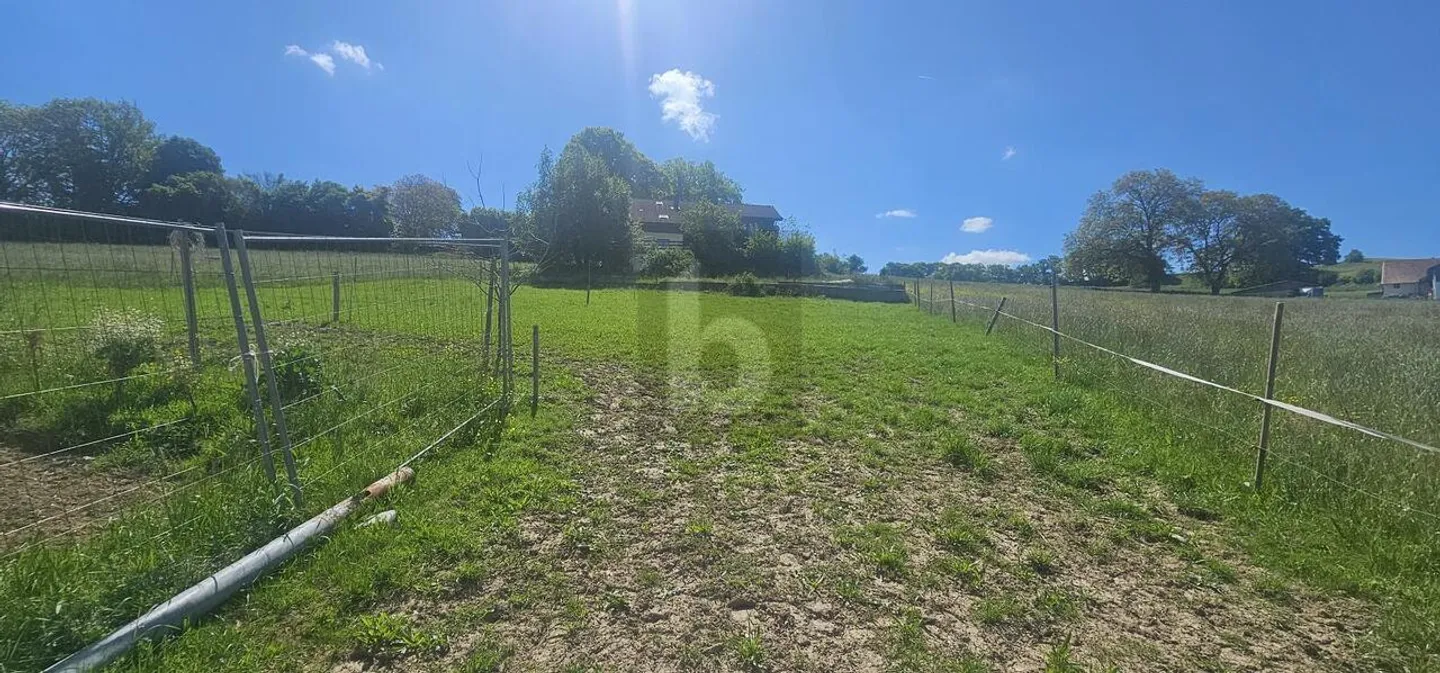 EXCEPTIONAL PRICE! TO BE DEVELOPED IN A BARN - Photo 3 of 6