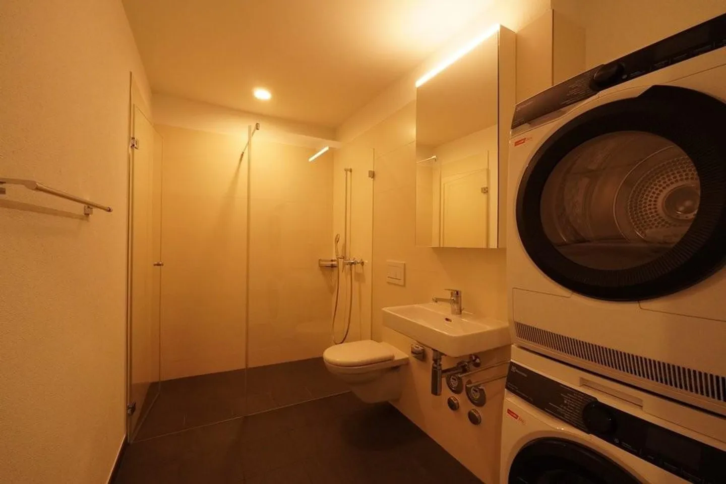 PREMIÈRE LOCATION À LIESTAL - chaque appartement avec sa propre tour de lavage - Photo 6 sur 8