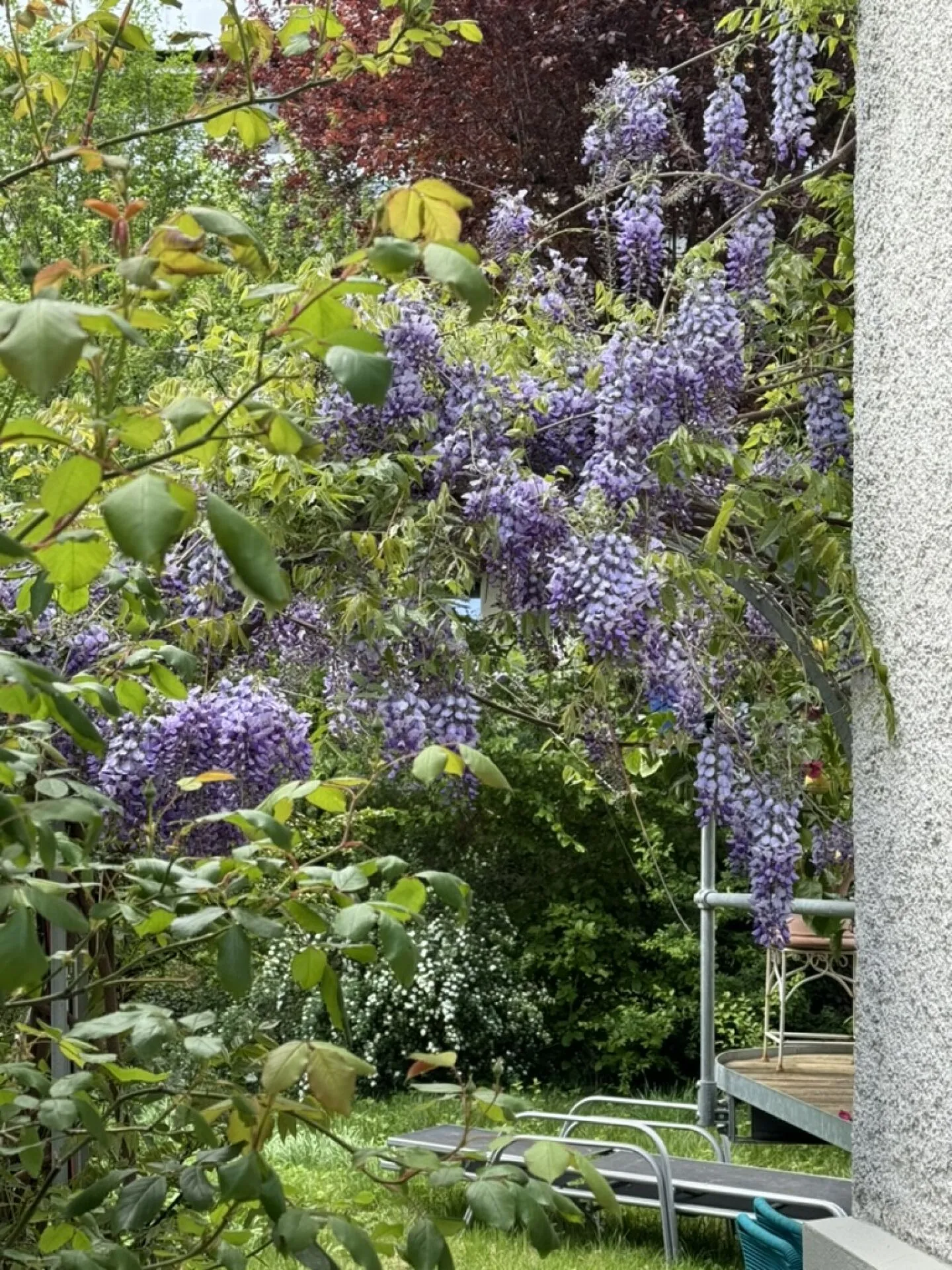 Casa bifamiliare attraente con giardino e garage in una posizione privilegiata ad Allschwil - Foto 14 di 14