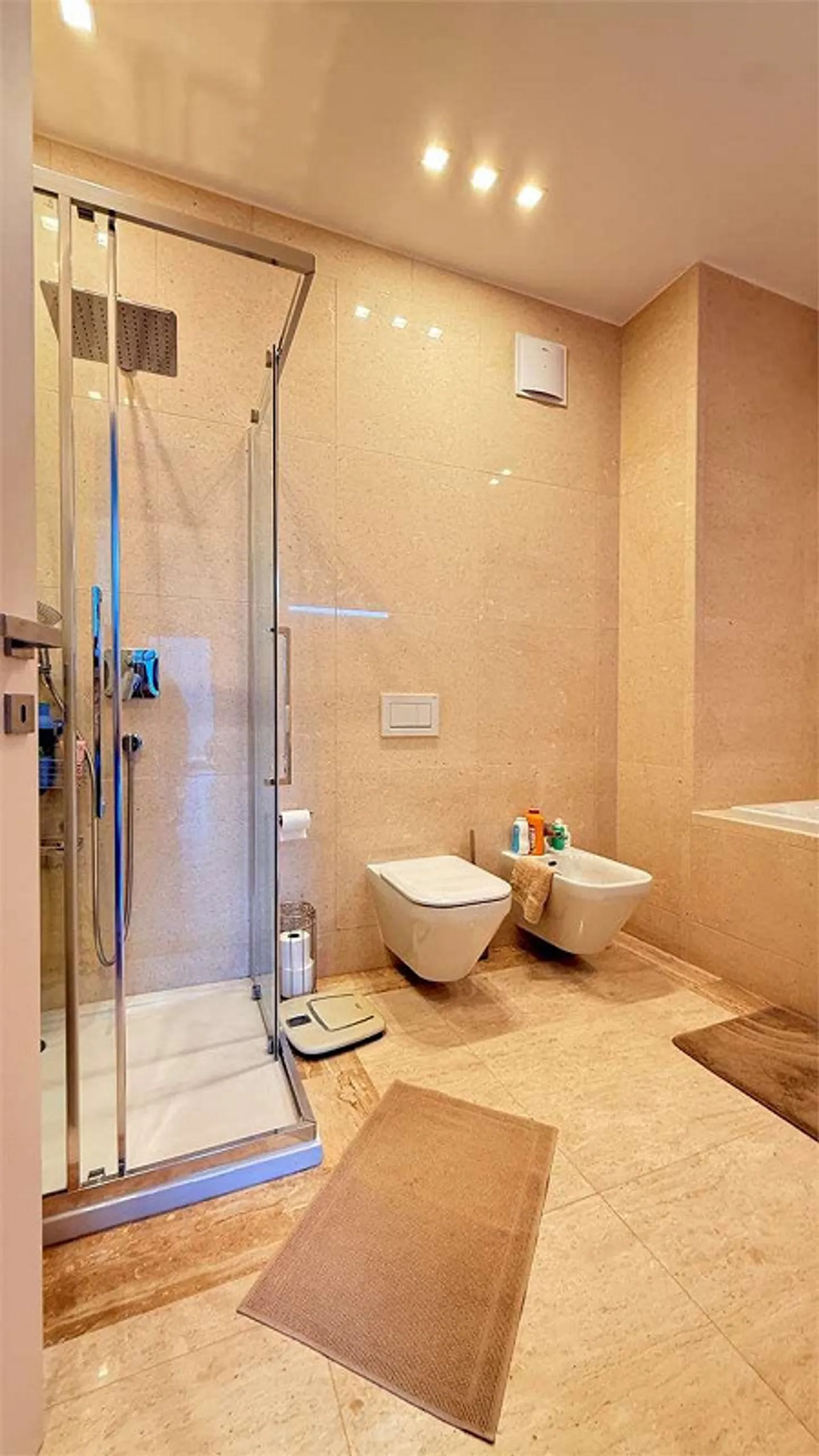 Exclusive 3.5 rooms with large terrace and lake view - Photo 13 of 13