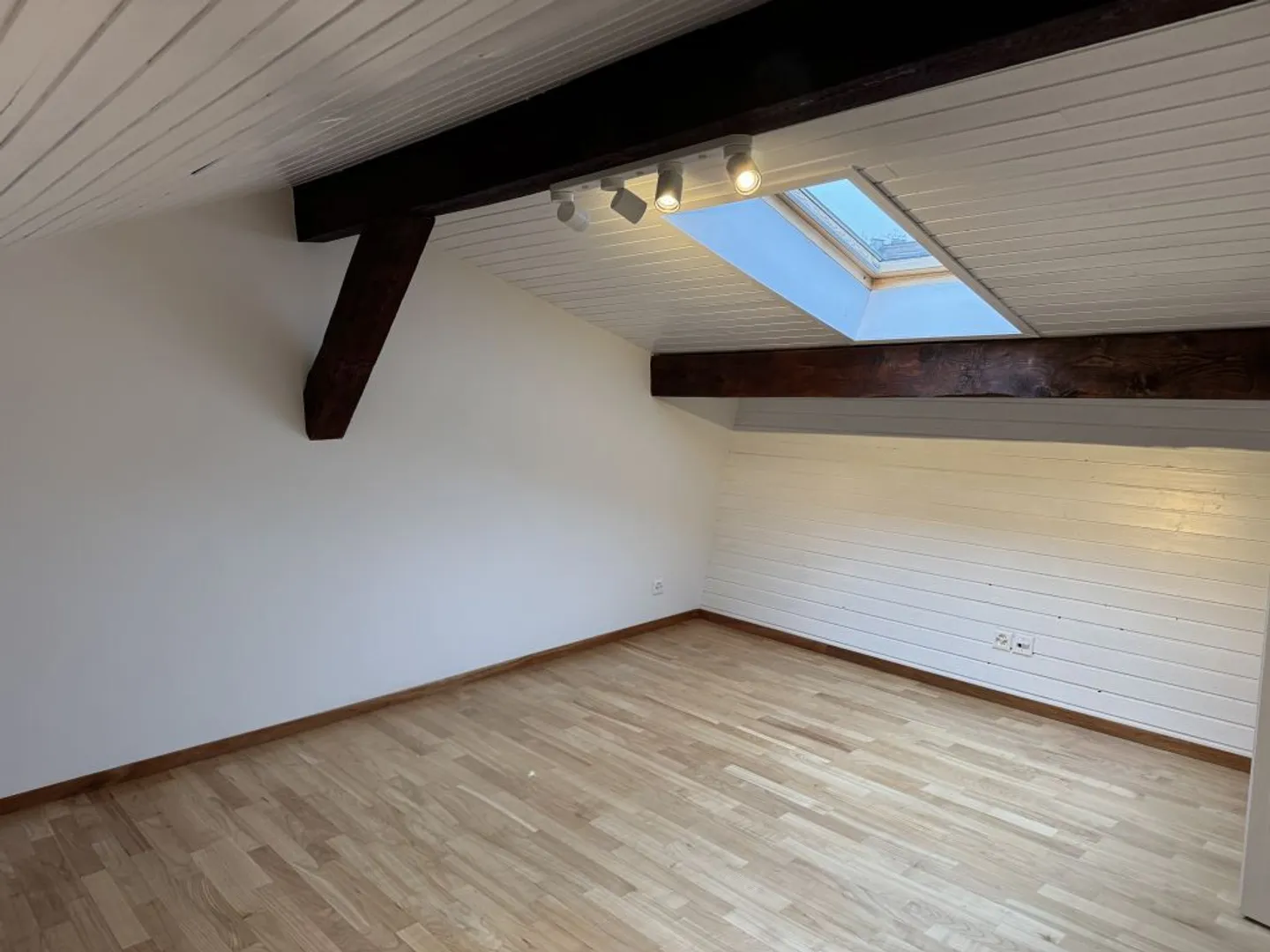 Geräumige 7-Zimmer-Wohnung in Carouge - Foto 5 von 8