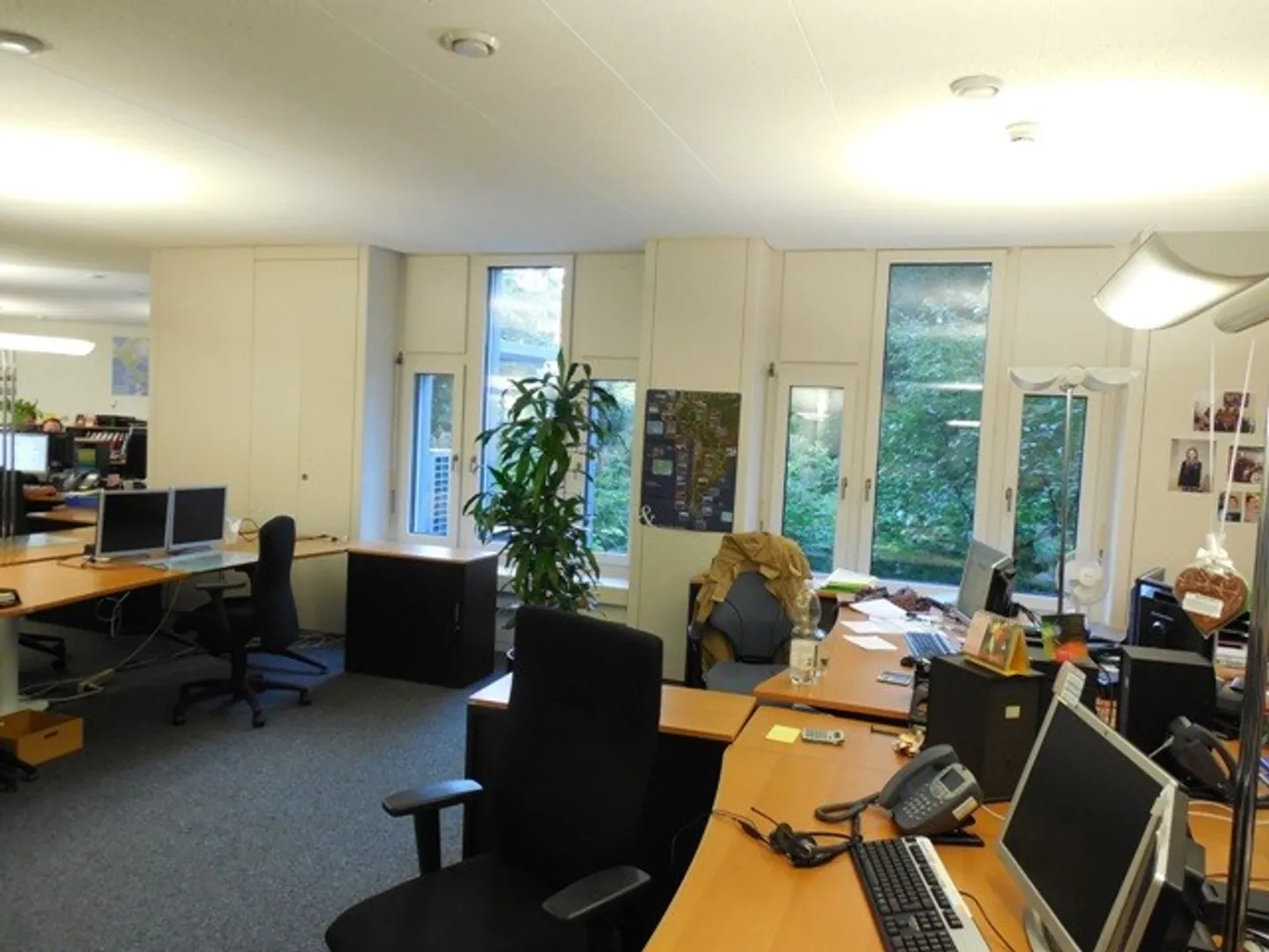 Spacious Office Space in Central Location - Photo 3 of 5