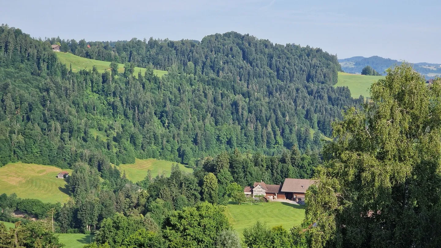 Weitblick Sonnmatt: Wg. A 4.1 - Foto 4 di 40