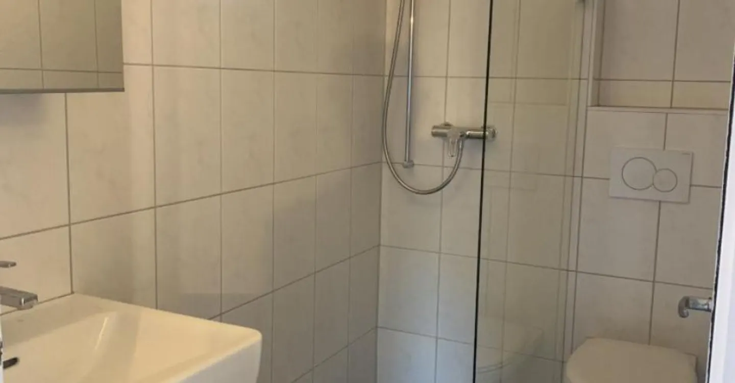Yielding property of 3 apartments in Leytron. - Photo 7 of 9