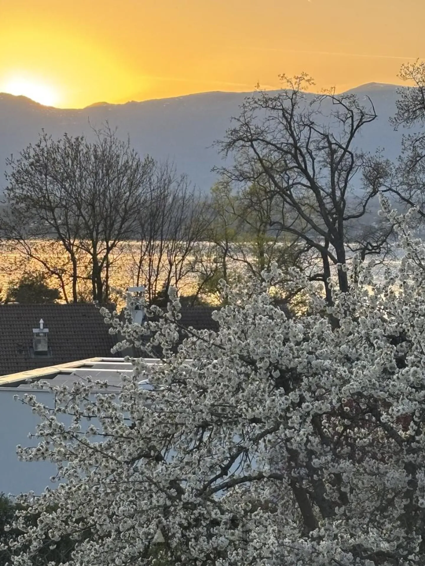 Casa di Lusso con Vista Lago - Foto 4 di 9