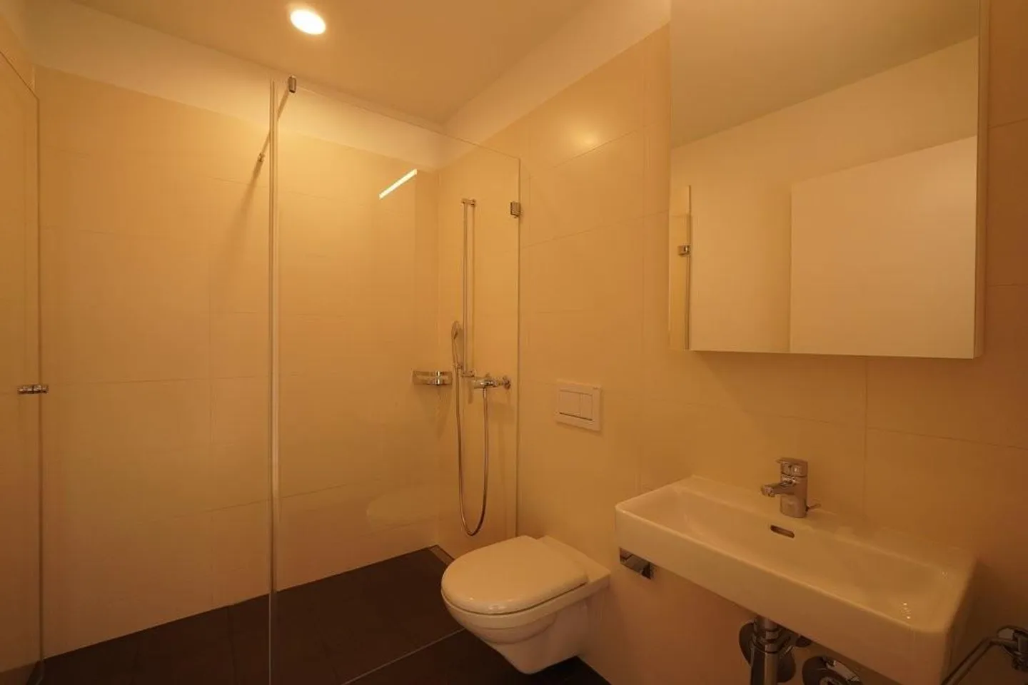 PREMIÈRE LOCATION À LIESTAL - chaque appartement avec sa propre tour de lavage - Photo 9 sur 11