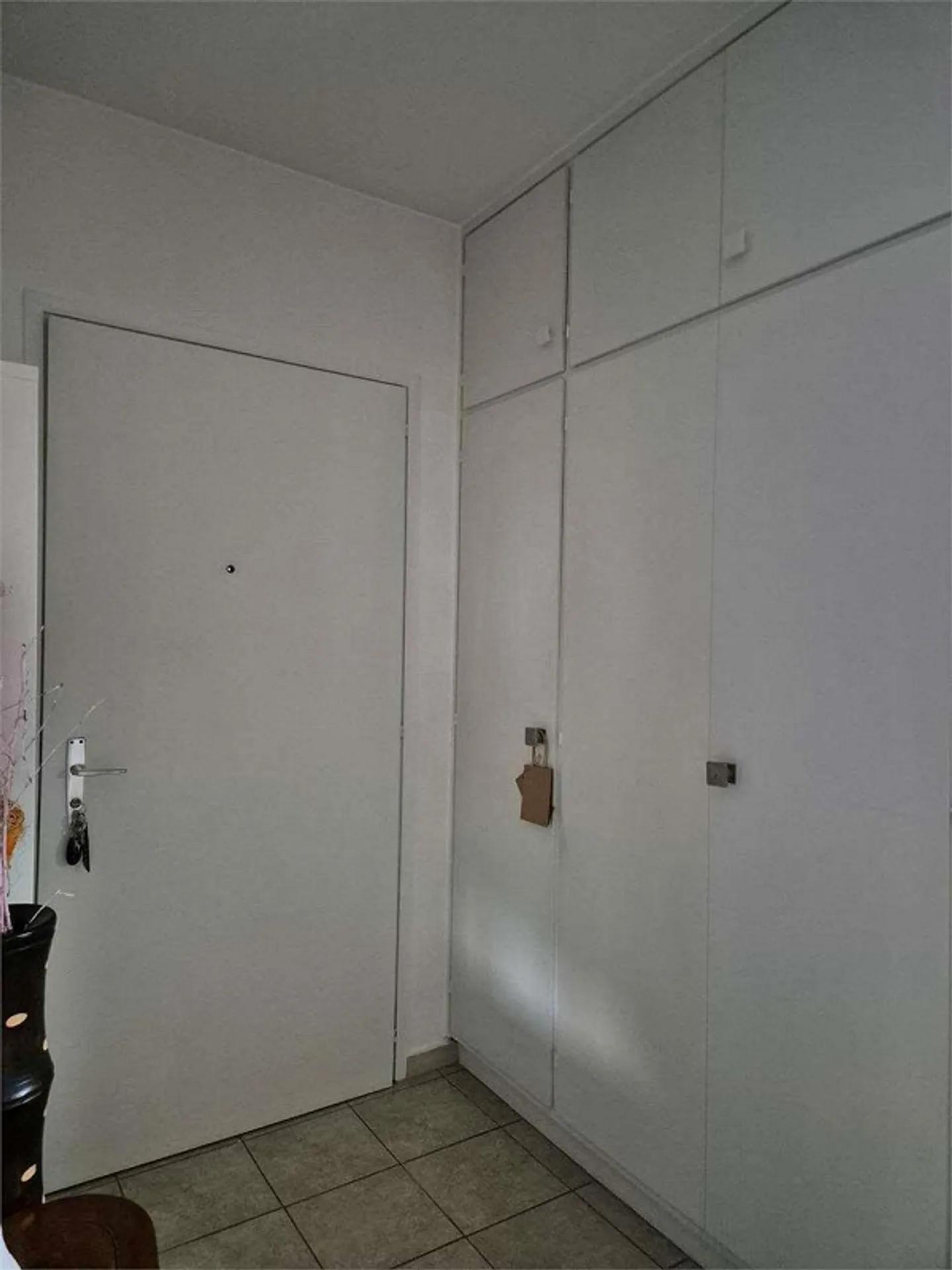 2613_Lopagno_Bright 2.5 Room Apartment with Panoramic View. - Photo 2 of 11