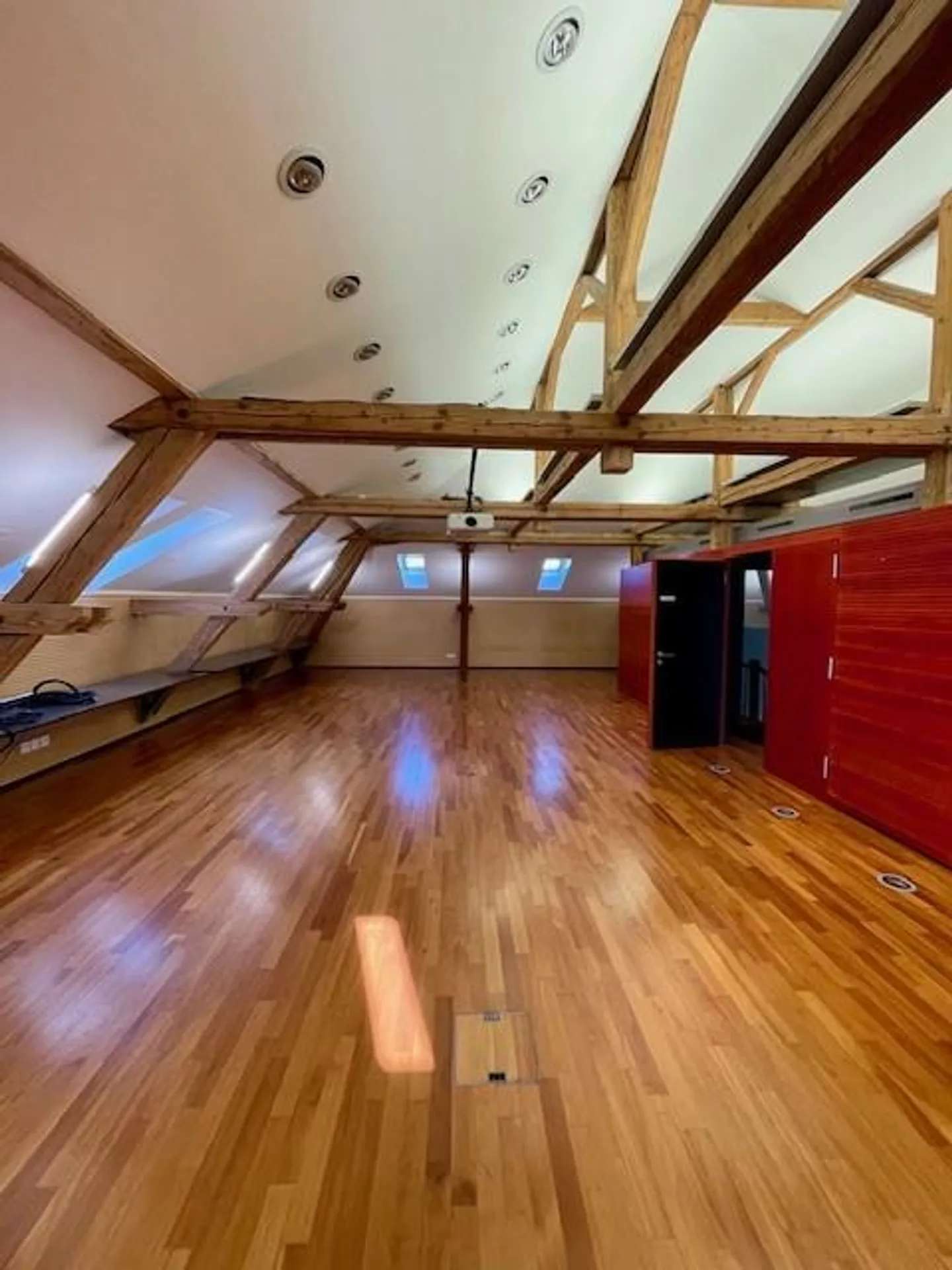 Representative, historical villa with fully developed office space - Photo 7 of 9