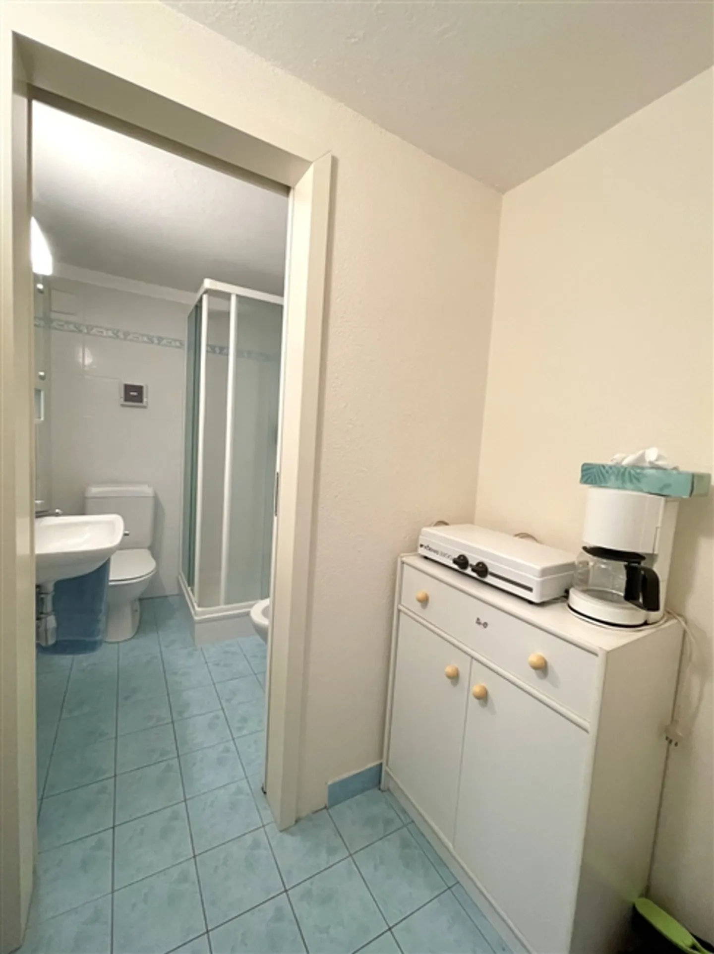 Large Single-Family House - Photo 11 of 15