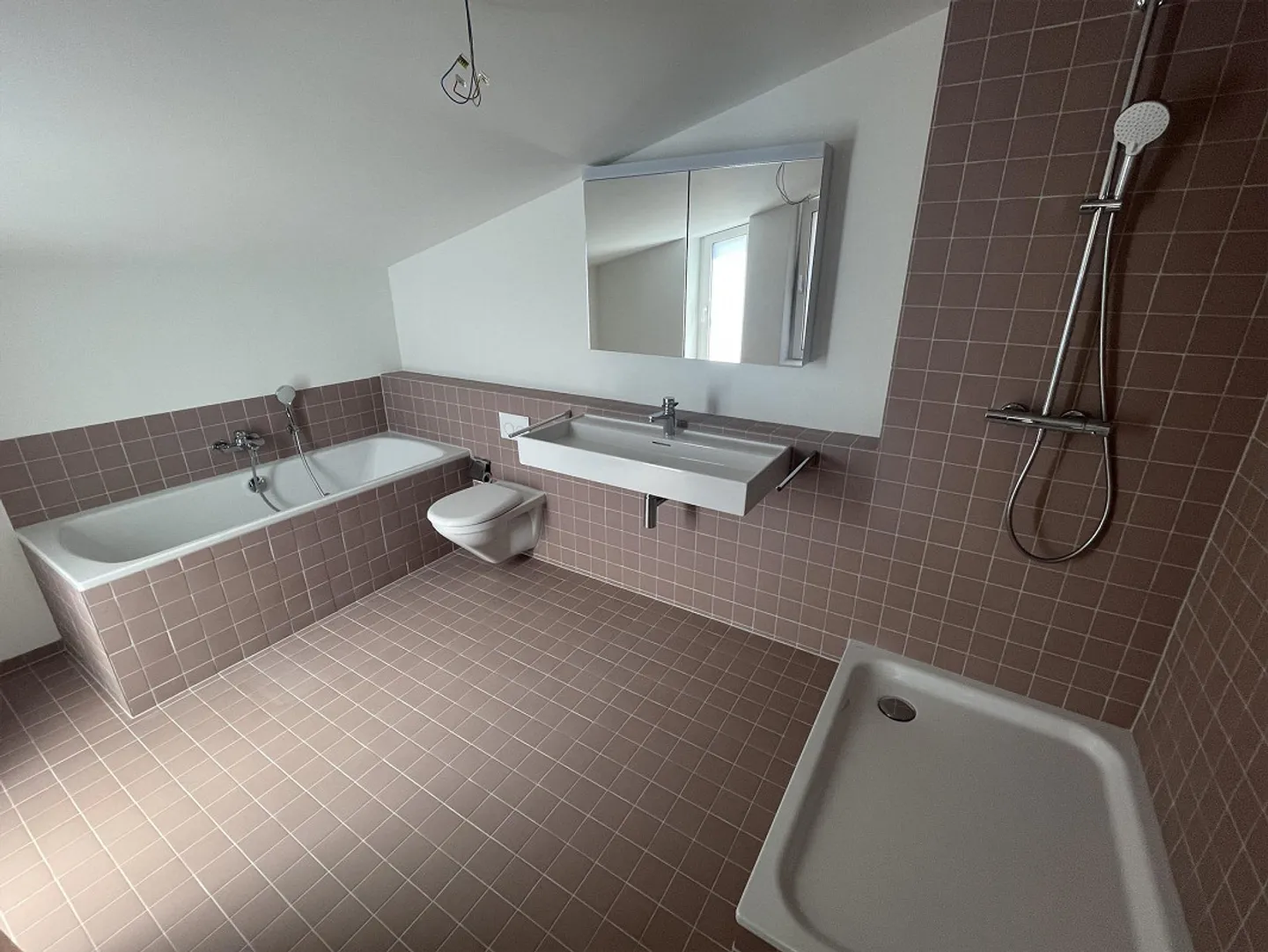 6.5-Room Single-Family Home with Pool and Double Garage in Arlesheim for Rent - Photo 6 of 12