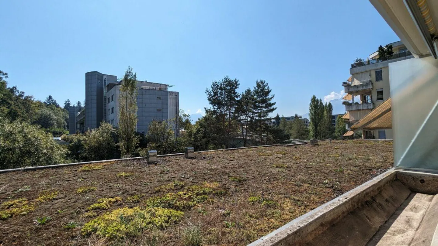 Vie tranquille dans la verdure près de la ville - Photo 11 sur 13