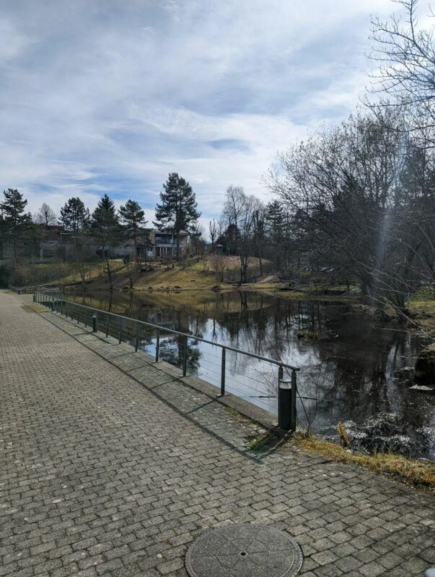 Vie tranquille dans la verdure près de la ville - Photo 12 sur 13