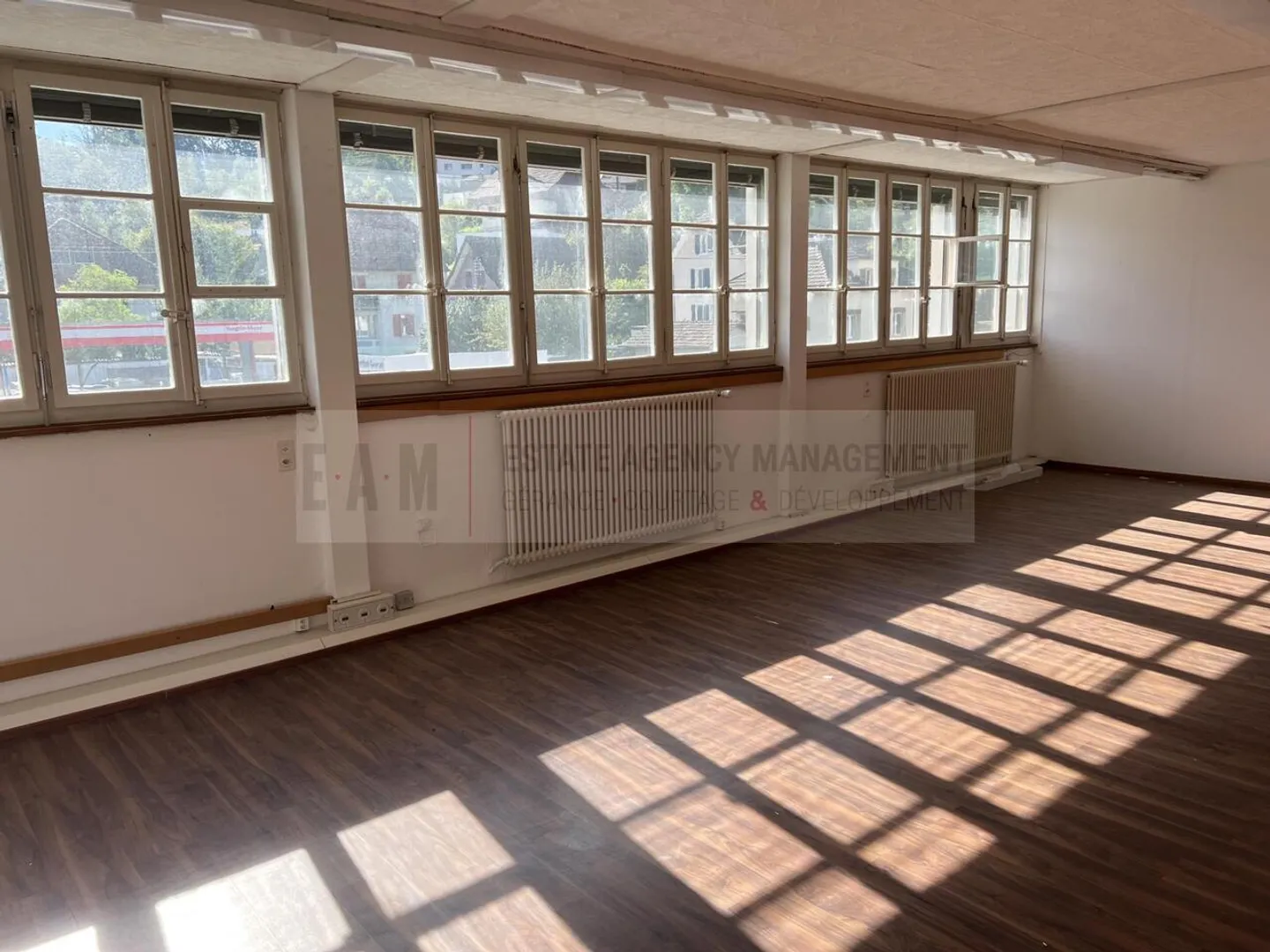 Offices in Teufenthal AG - Photo 2 of 5