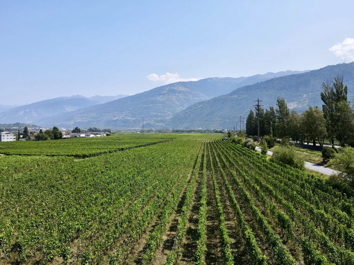 The Amignes - 3.5 Room Attic, Extraordinary View - Photo 4 of 4