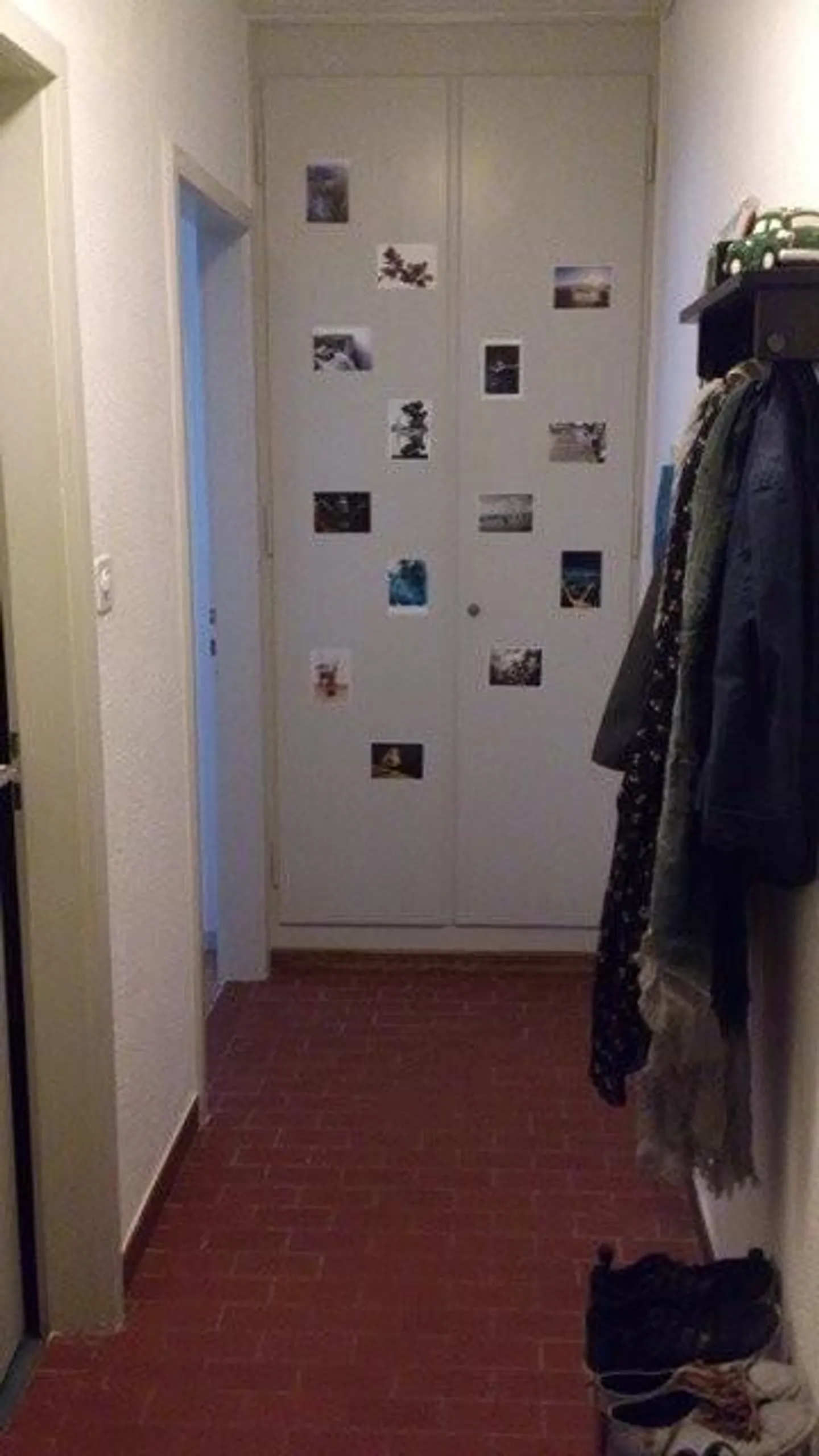 Appartamento cerca single - Foto 10 di 10