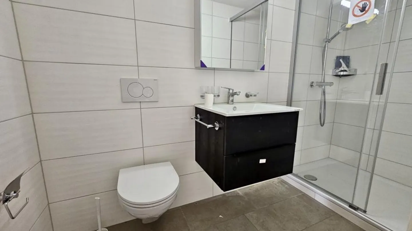 3.5 Room Apartment - Photo 6 of 6