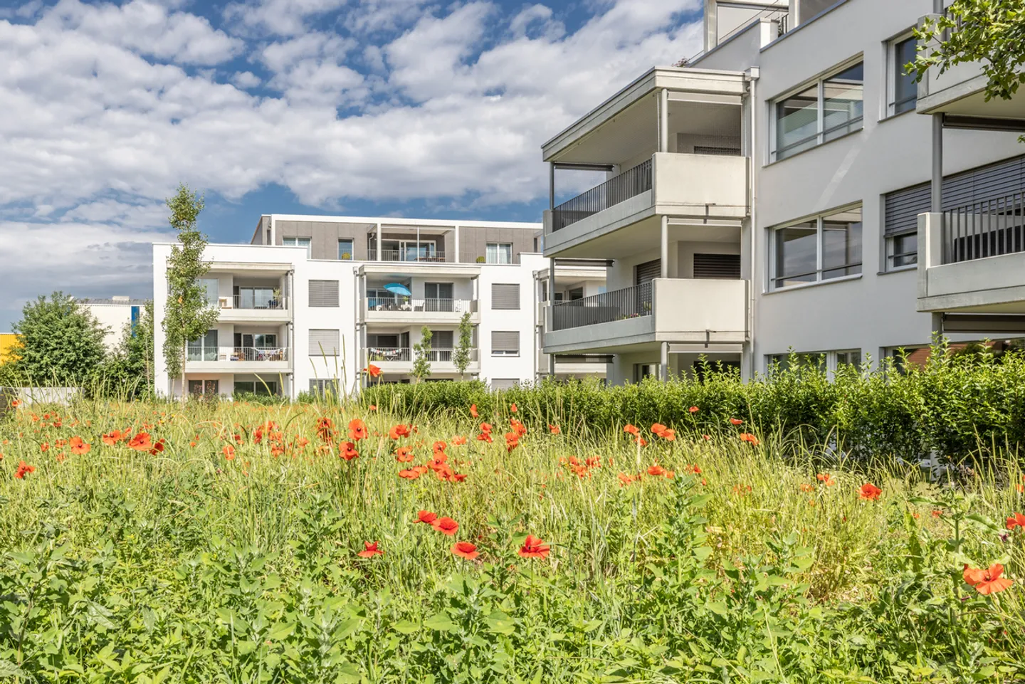 Espace de rangement spacieux de 20 m² dans le développement moderne 'Sonnengarten' - Photo 1 sur 5