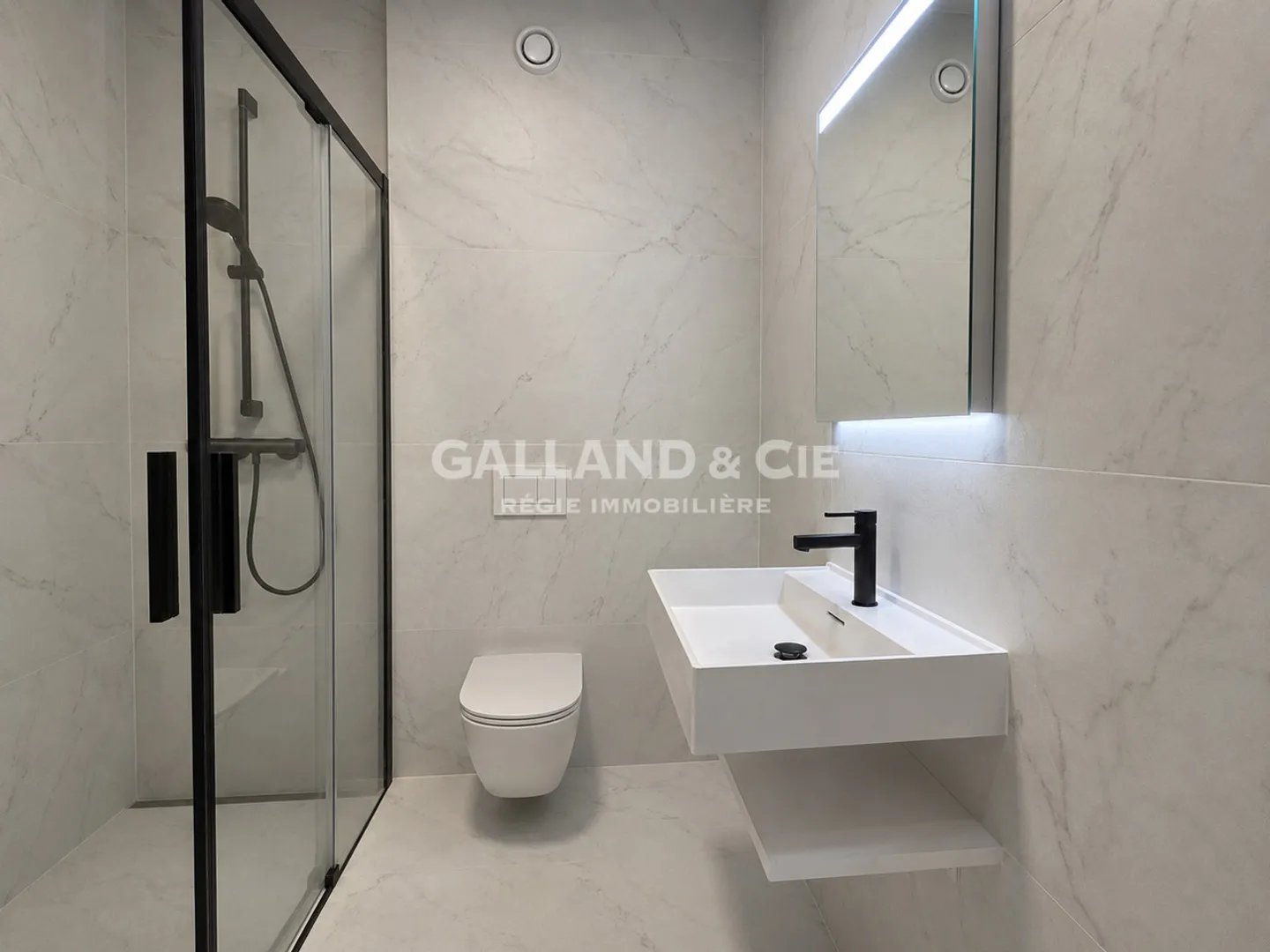 Luxury Apartment in Lavaux - Photo 7 of 9