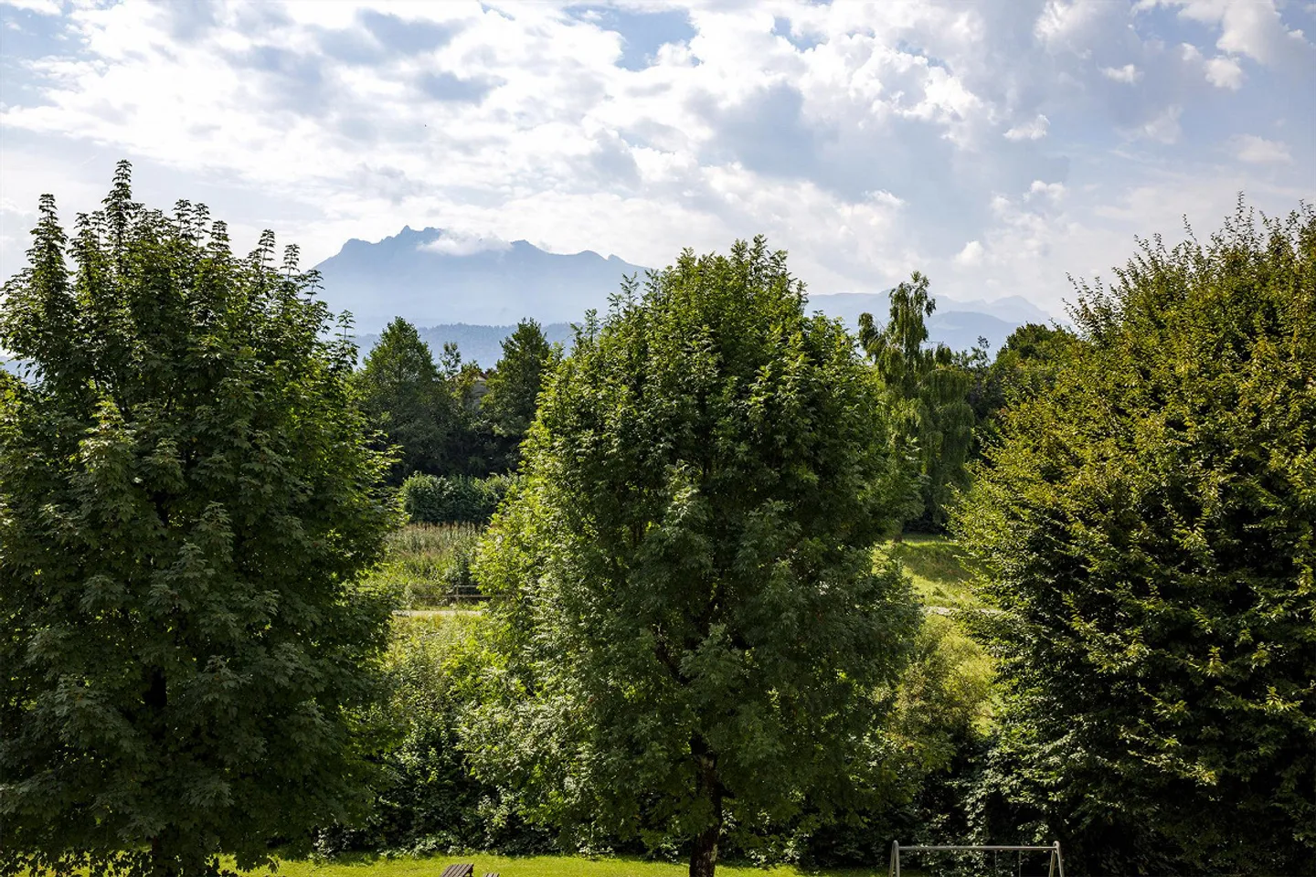 Ampio e ben curato appartamento di 3,5 stanze con vista panoramica - Foto 8 di 17