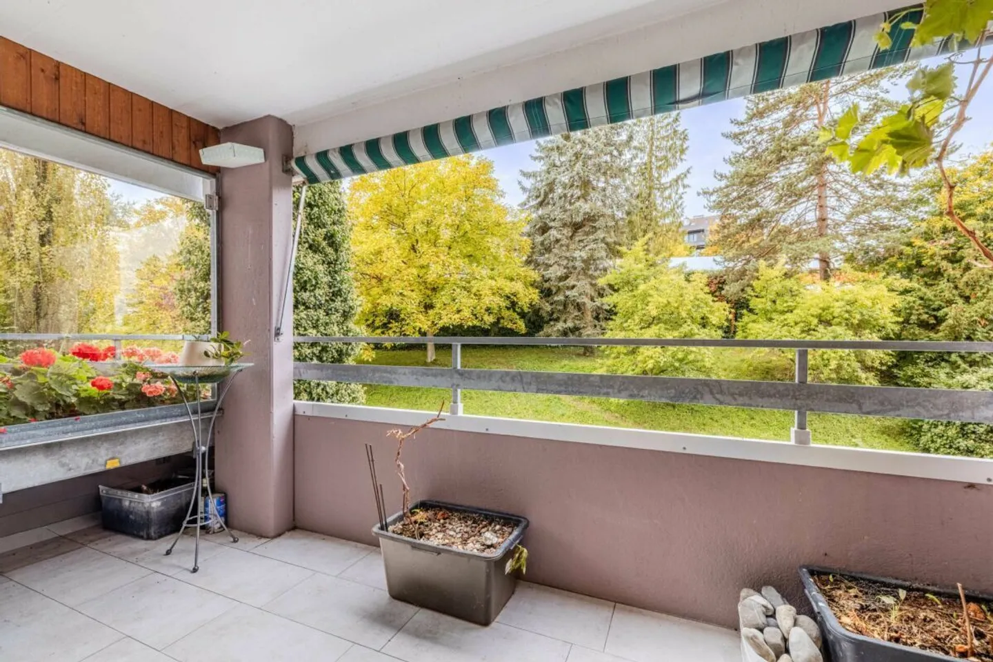 Appartamento 3.5 stanze completamente ristrutturato con ambiente luminoso e pianta ben progettata - Foto 7 di 9