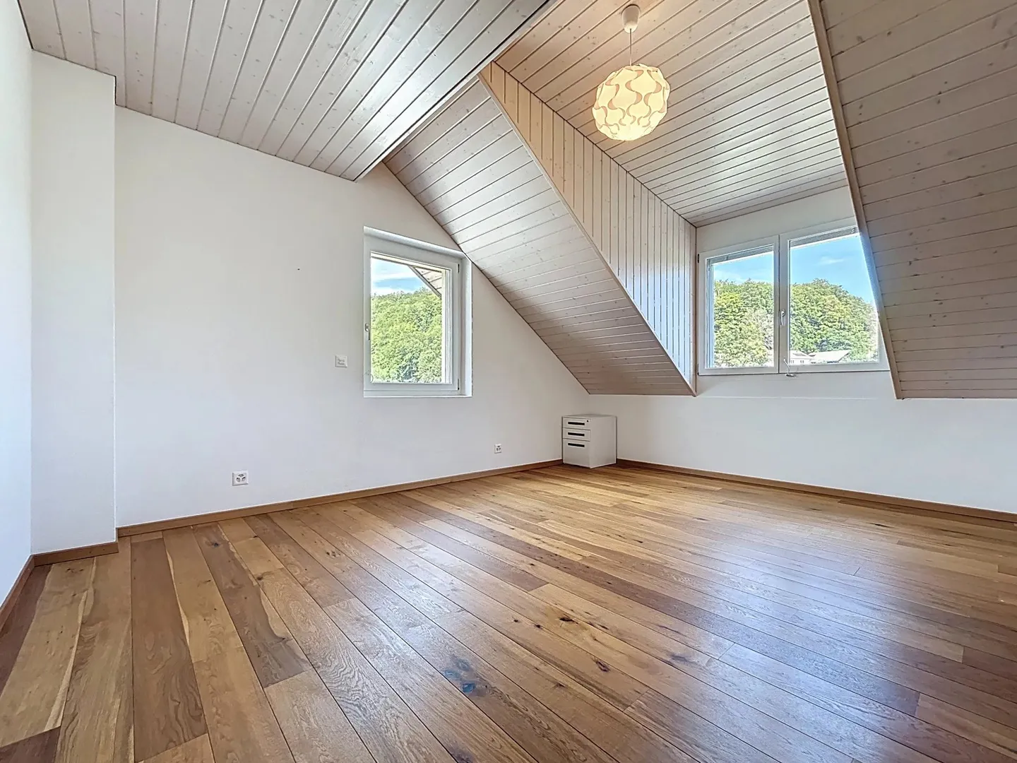 Spacious Duplex in the Heart of Saint-Cergue - Photo 9 of 11