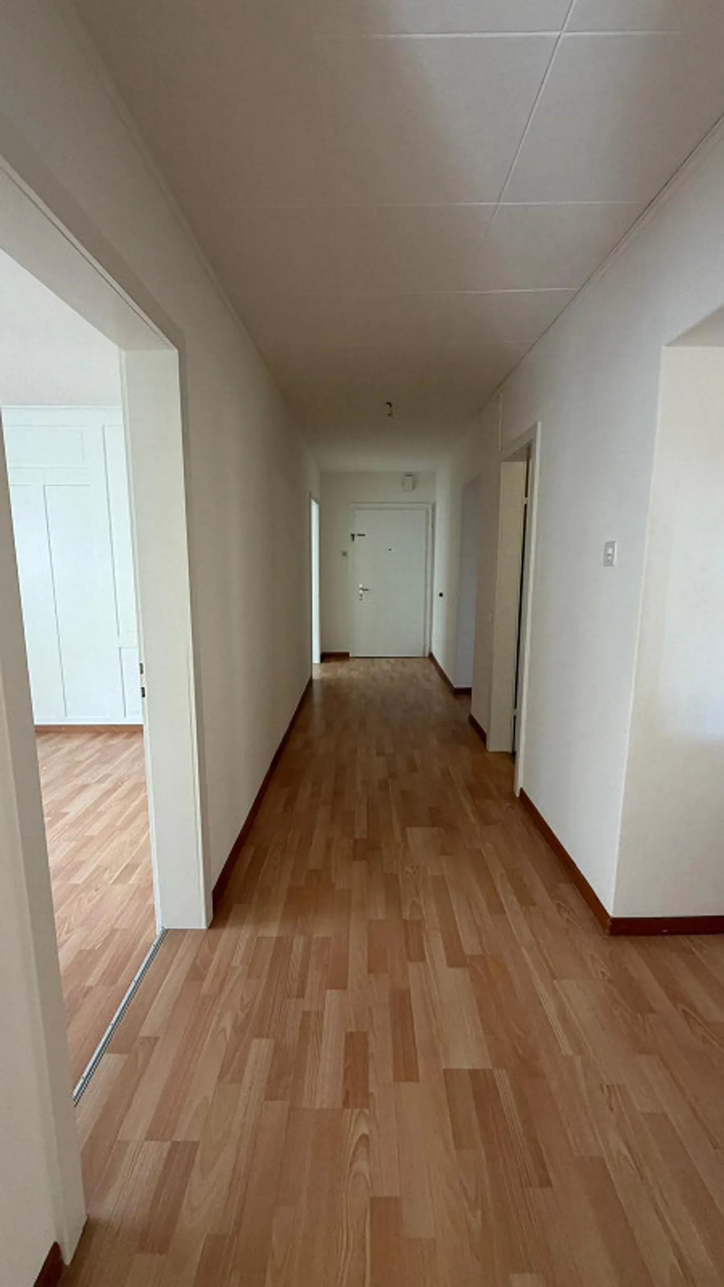 4.5 Room Apartment Domat/Ems - Photo 5 of 6