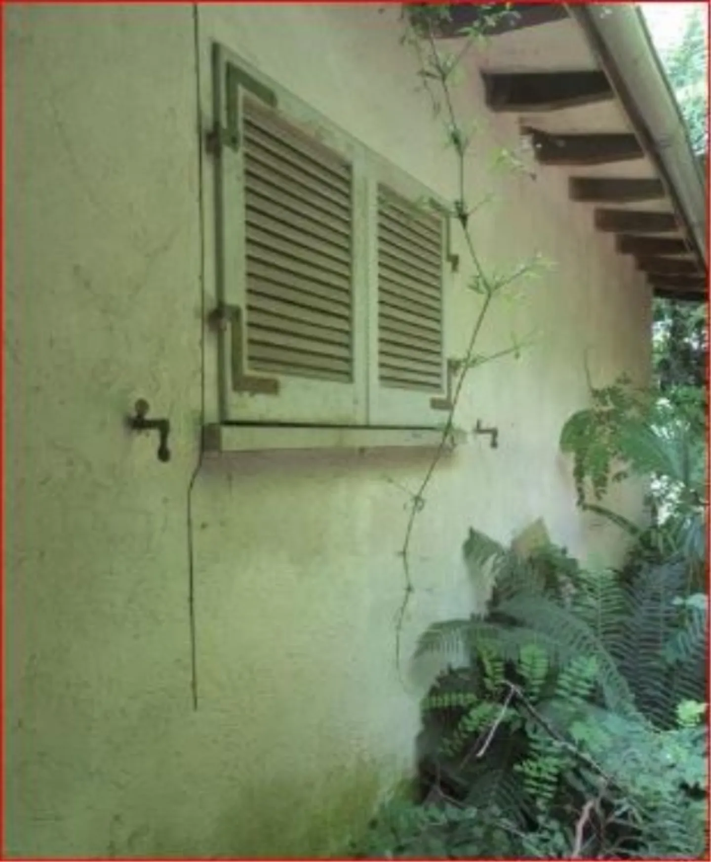 Casa singola in affitto - Foto 5 di 6