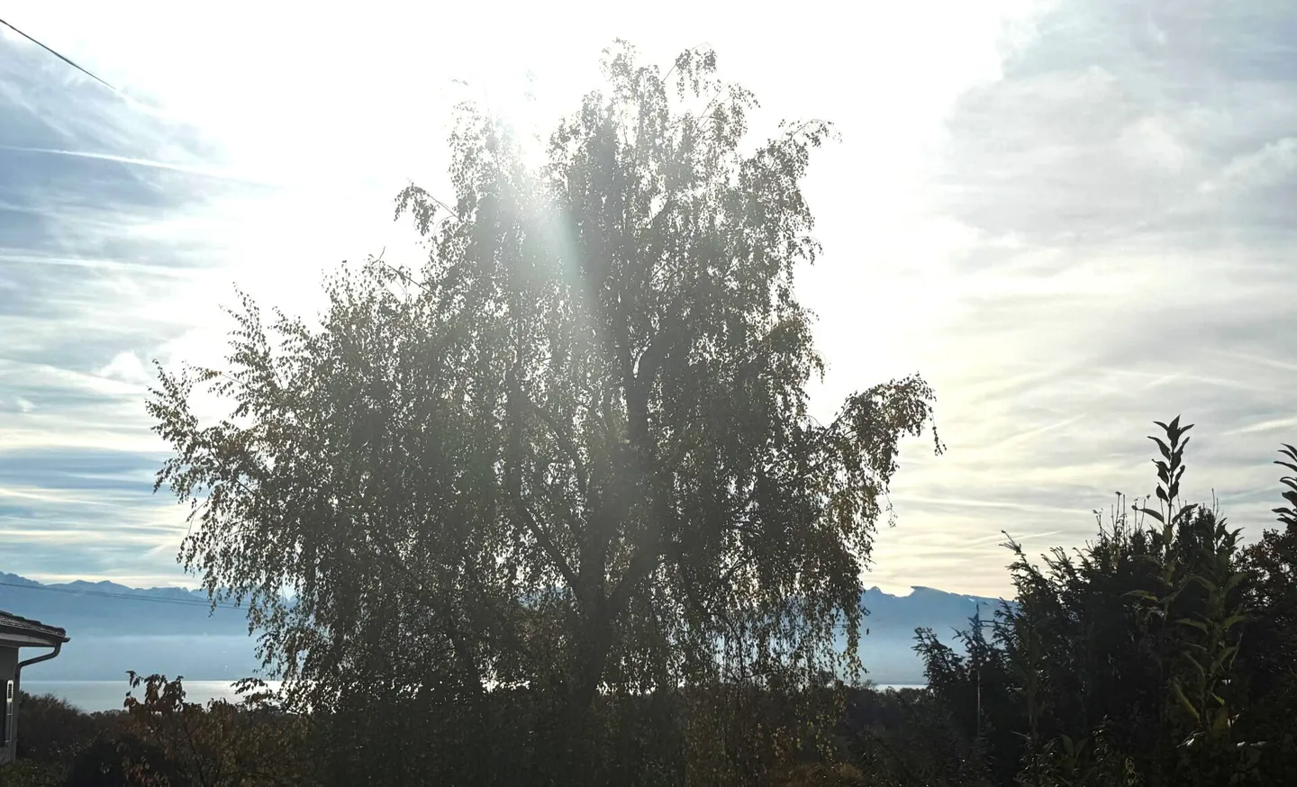 Einfamilienhaus mit Garagen 7 Minuten von Morges entfernt, Bau beginnt - Foto 5 von 8