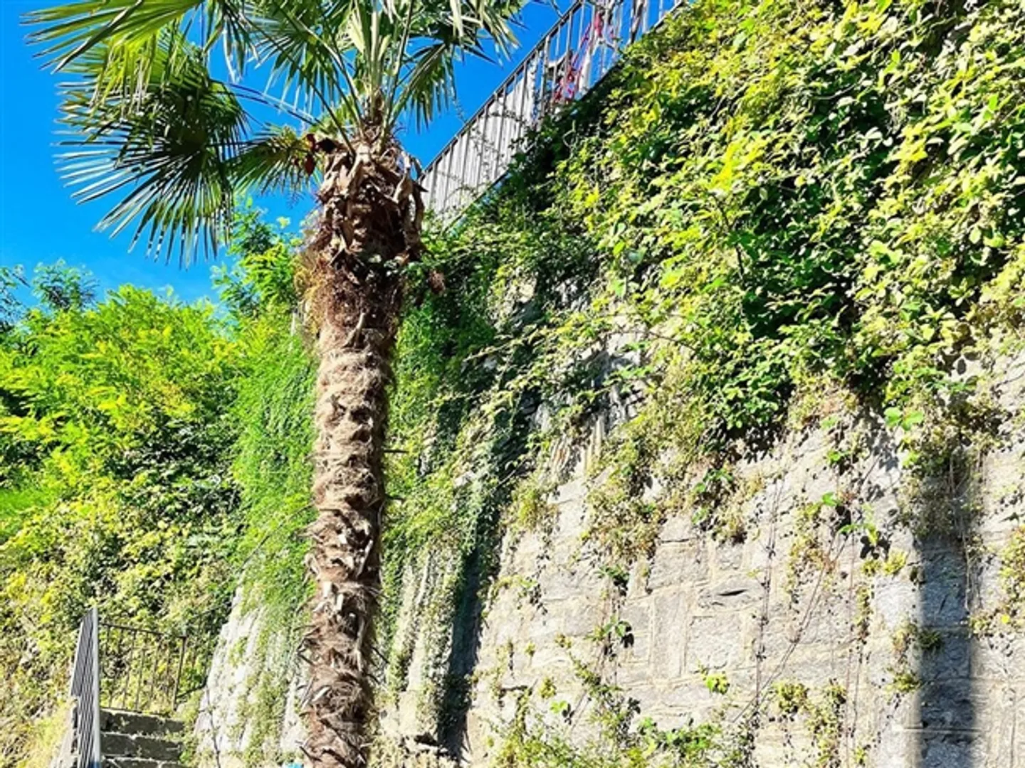 House for sale in Losone, Switzerland - Photo 2 of 5