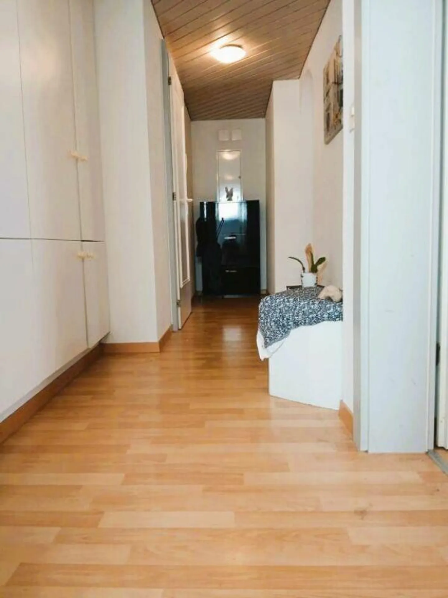 Appartamento accogliente 2.5 locali con giardino in affitto - Foto 4 di 8