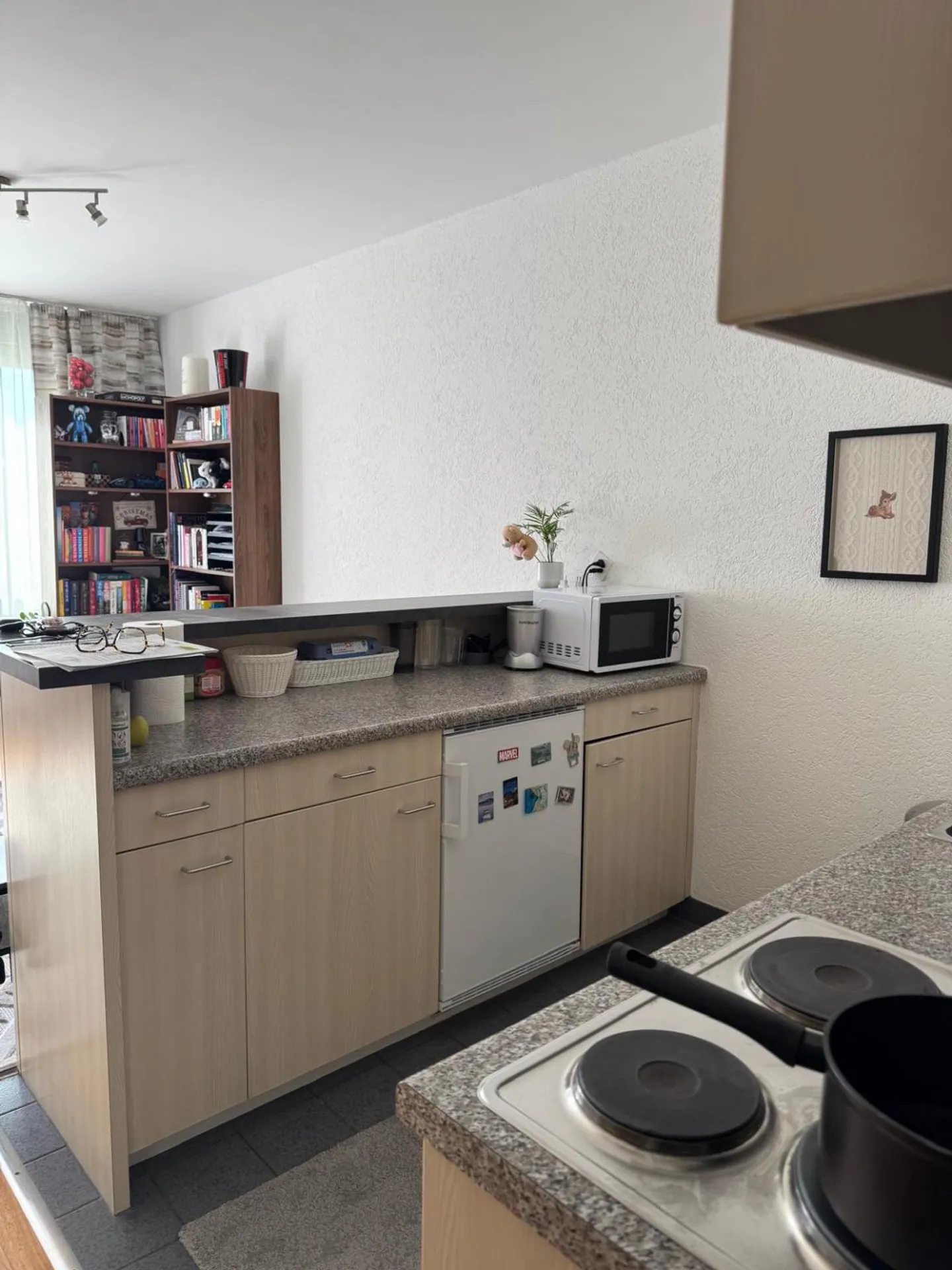 EXCLUSIVITÉ - Grand appartement 1,5 pièces à Eaux-Vives - Photo 4 sur 5