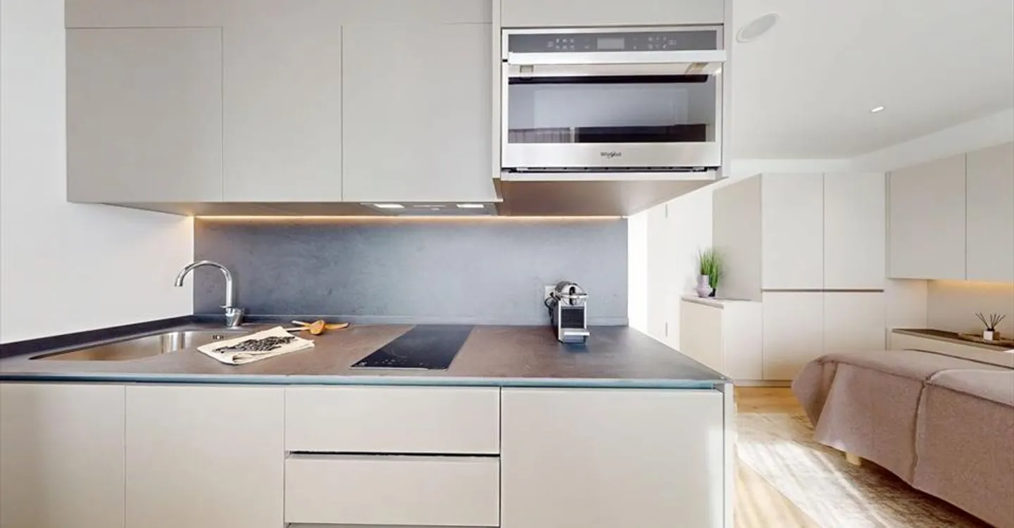 Renovated studio, close to Nations, Palexpo and Geneva airport - Photo 4 of 16