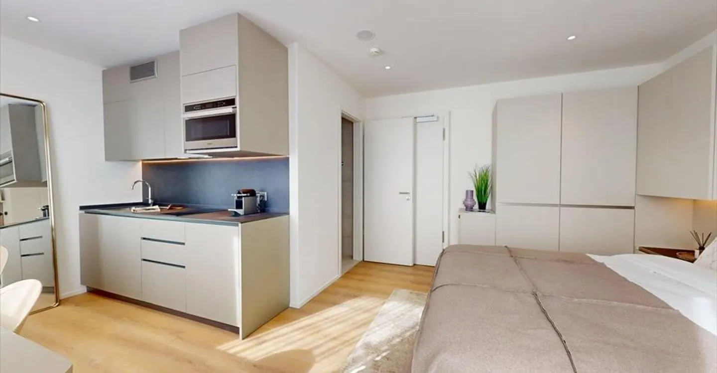 Renovated studio, close to Nations, Palexpo and Geneva airport - Photo 5 of 16