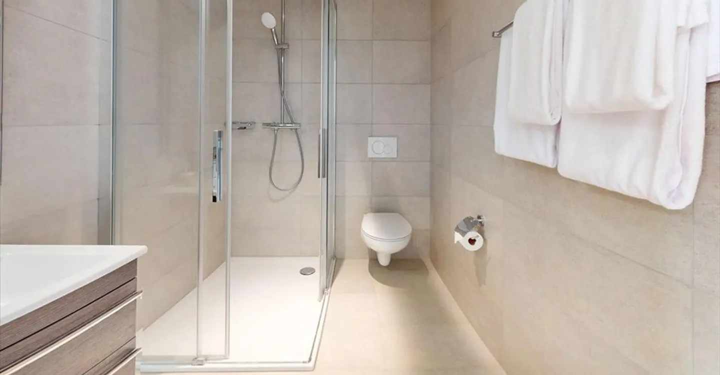 Renovated studio, close to Nations, Palexpo and Geneva airport - Photo 6 of 16