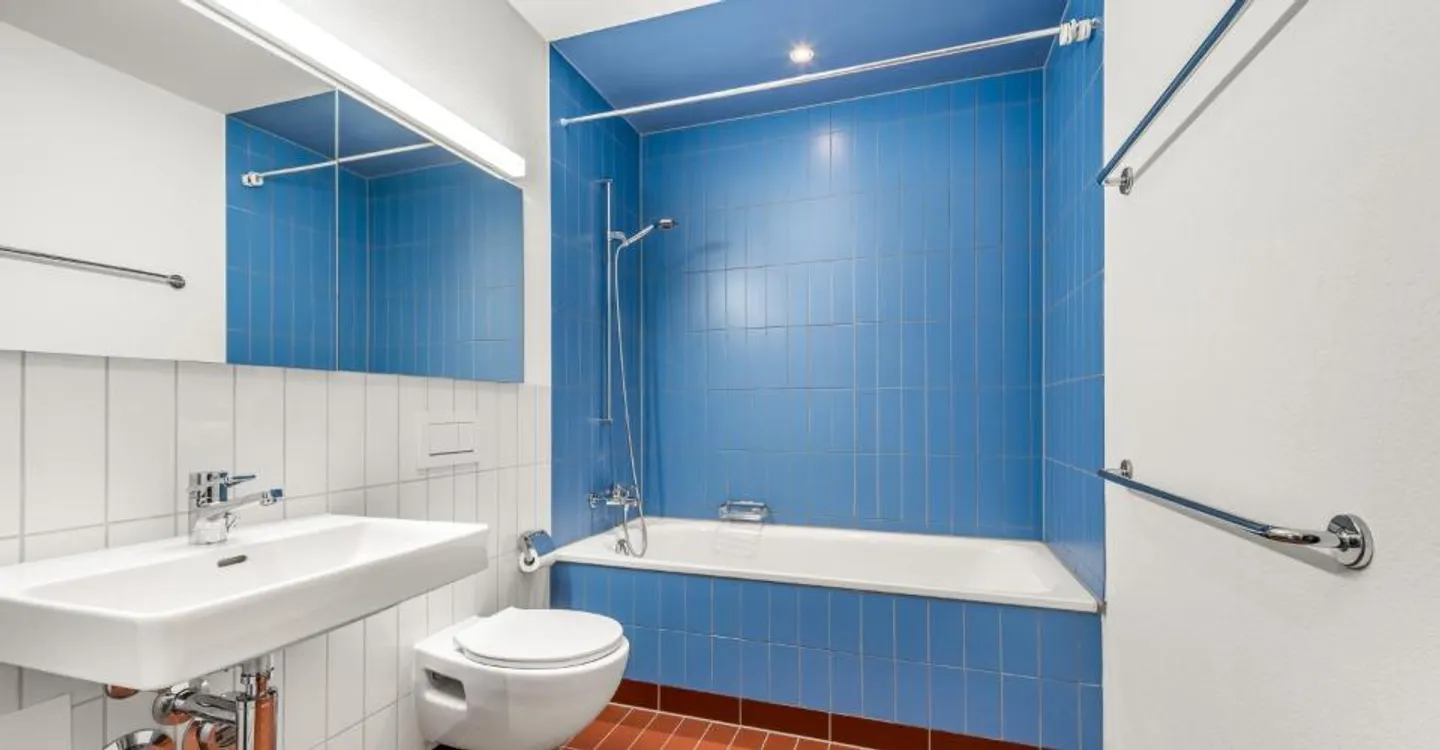 Votre nouvelle oasis de bien-être directement sur la Sihl ! - Photo 10 sur 11