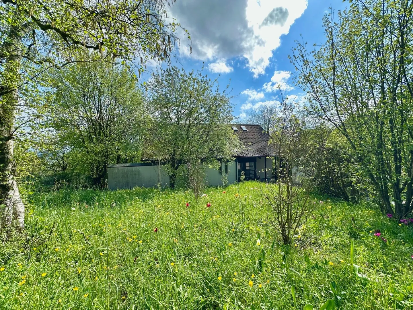 Maison individuelle de 5,5 pièces dans la verdure - Pure tranquillité et qualité de vie - Photo 3 sur 17