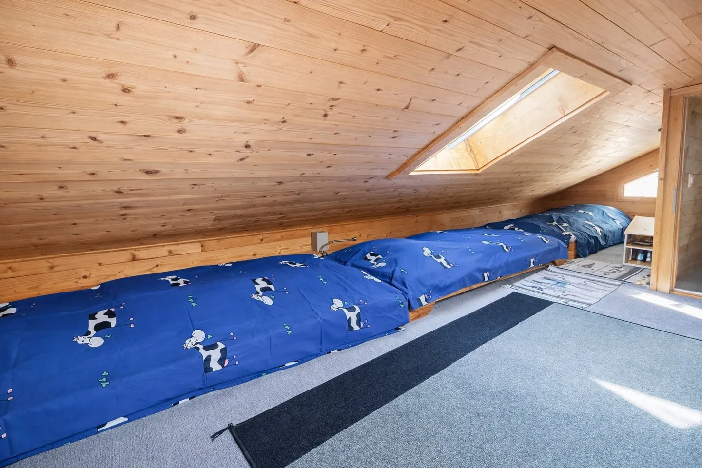 Charming Alpine Chalet in Diablerets - Photo 24 of 27