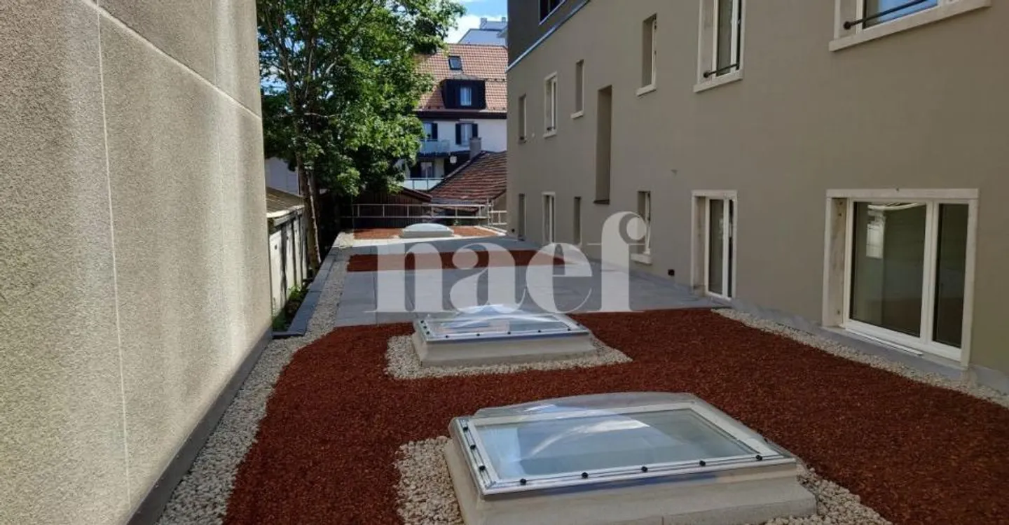 For rent magnificent 5-room renovated apartment with terrace - Photo 4 of 4