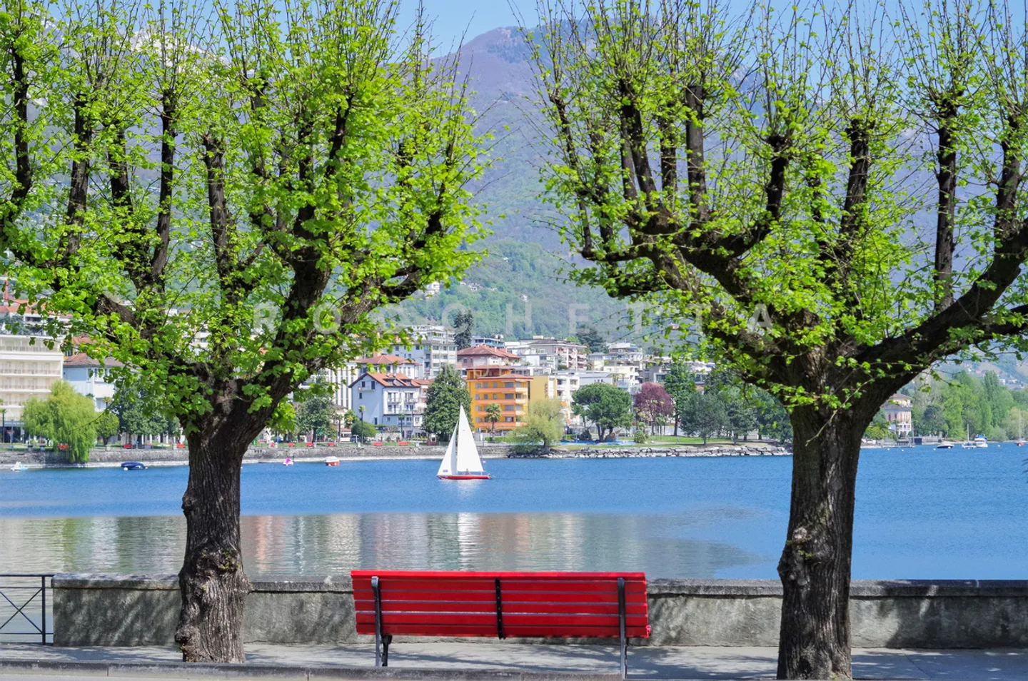 Appartamento in affitto - Foto 14 di 14