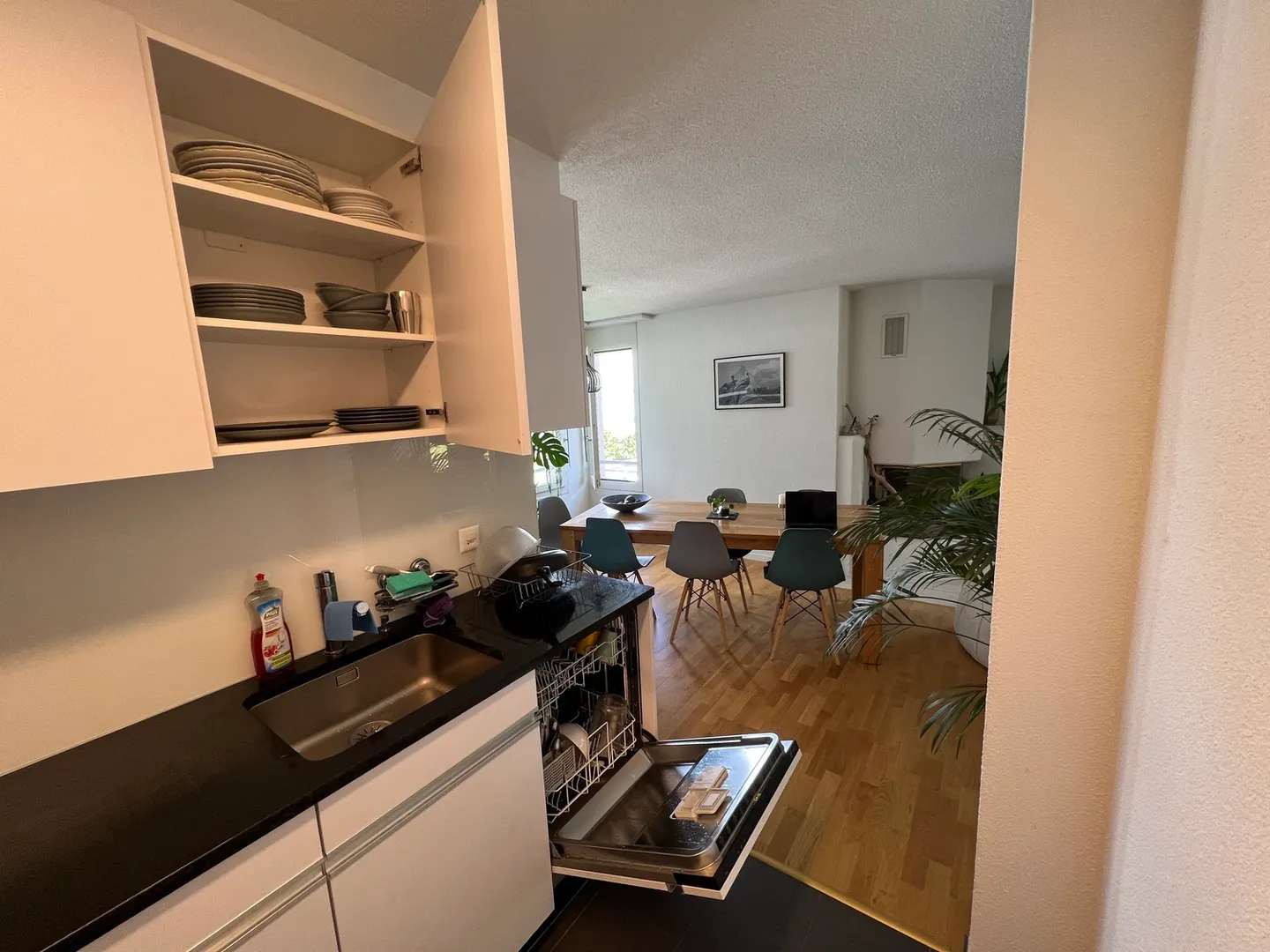APPARTEMENT 4½ PIÈCES À WÄDENSWIL (ZH), MEUBLÉ, TEMPORAIRE - Photo 4 sur 7