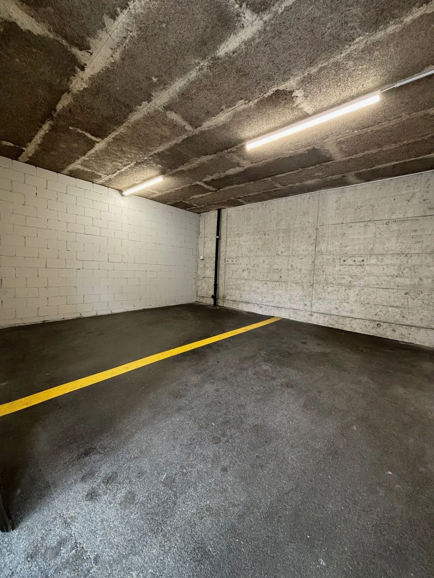 Espace de stockage à louer à Ebikon - Photo 3 sur 5