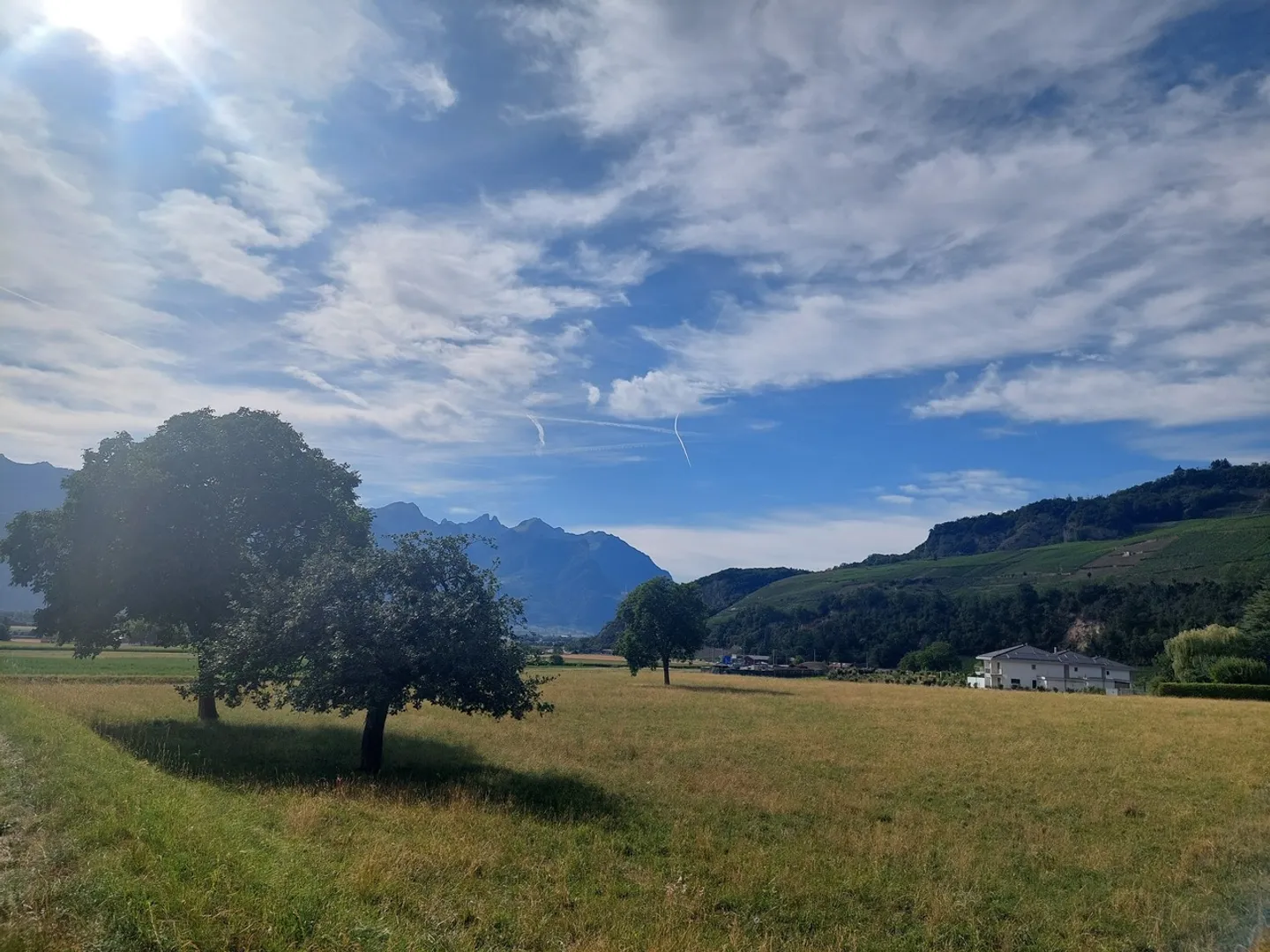 La tua villa bifamiliare nel cuore del Chablais vodese - Una è già venduta - Foto 7 di 10