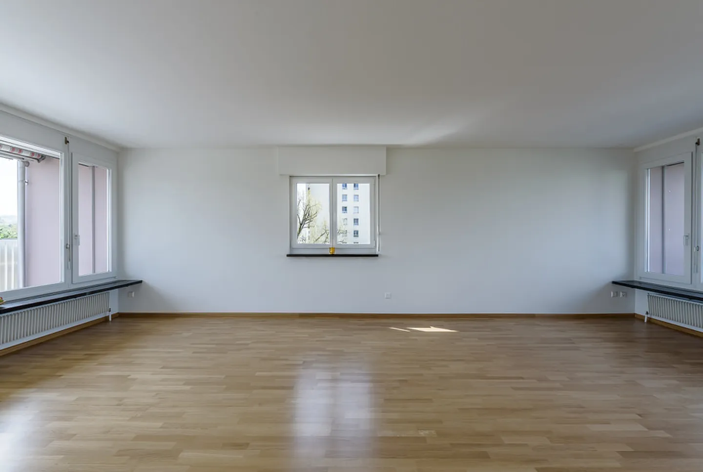 Vivere Rappresentativo Sopra i Tetti di Birsfelden - Foto 4 di 12