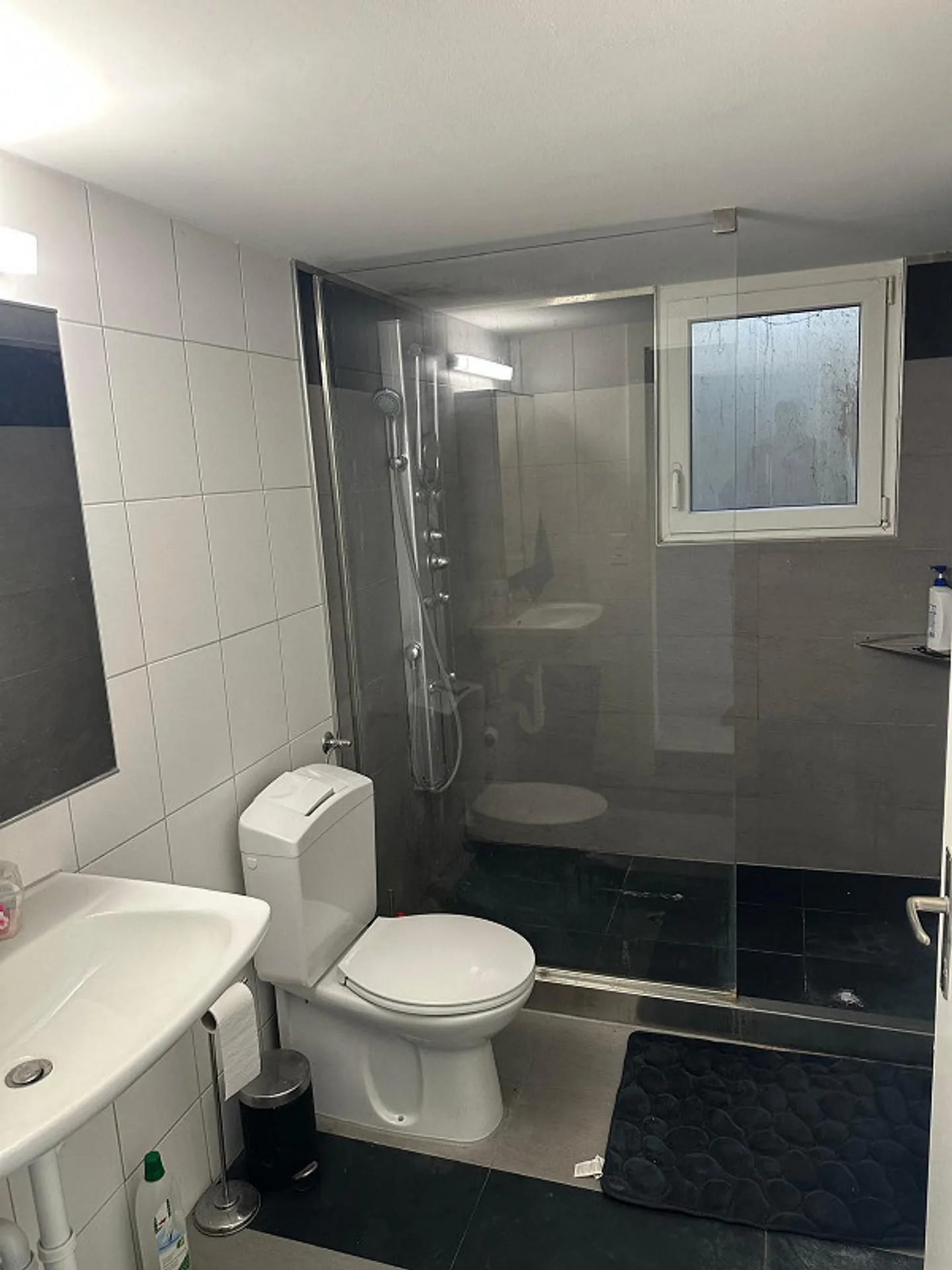 Light-flooded 1.5-room basement apartment in Muttenz - Photo 2 of 8